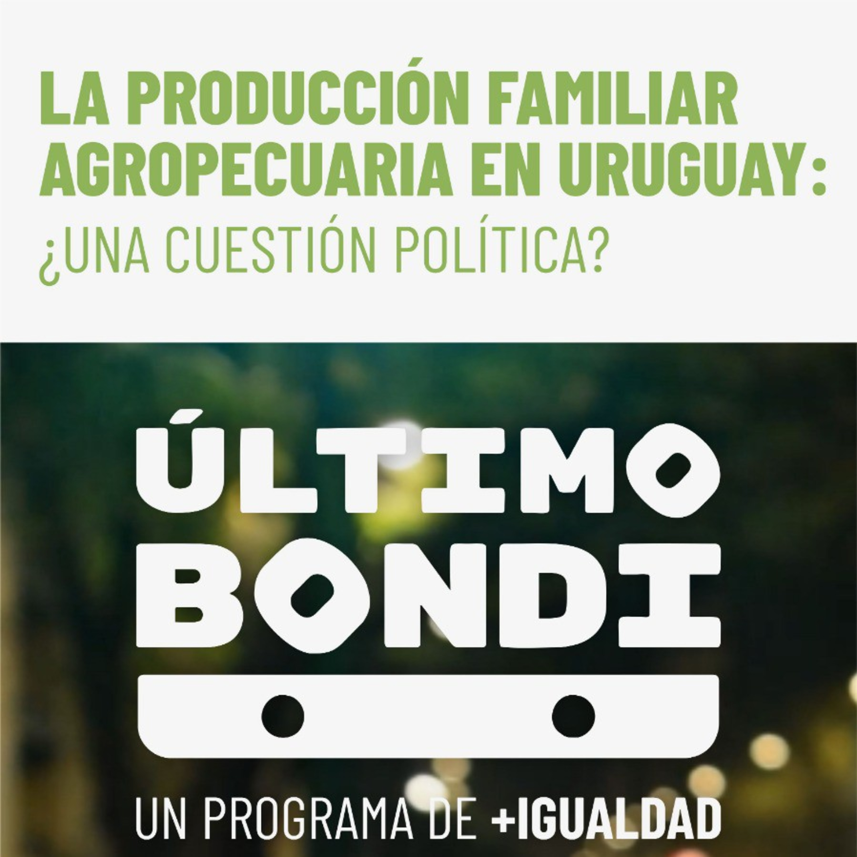 colectivo +igualdad