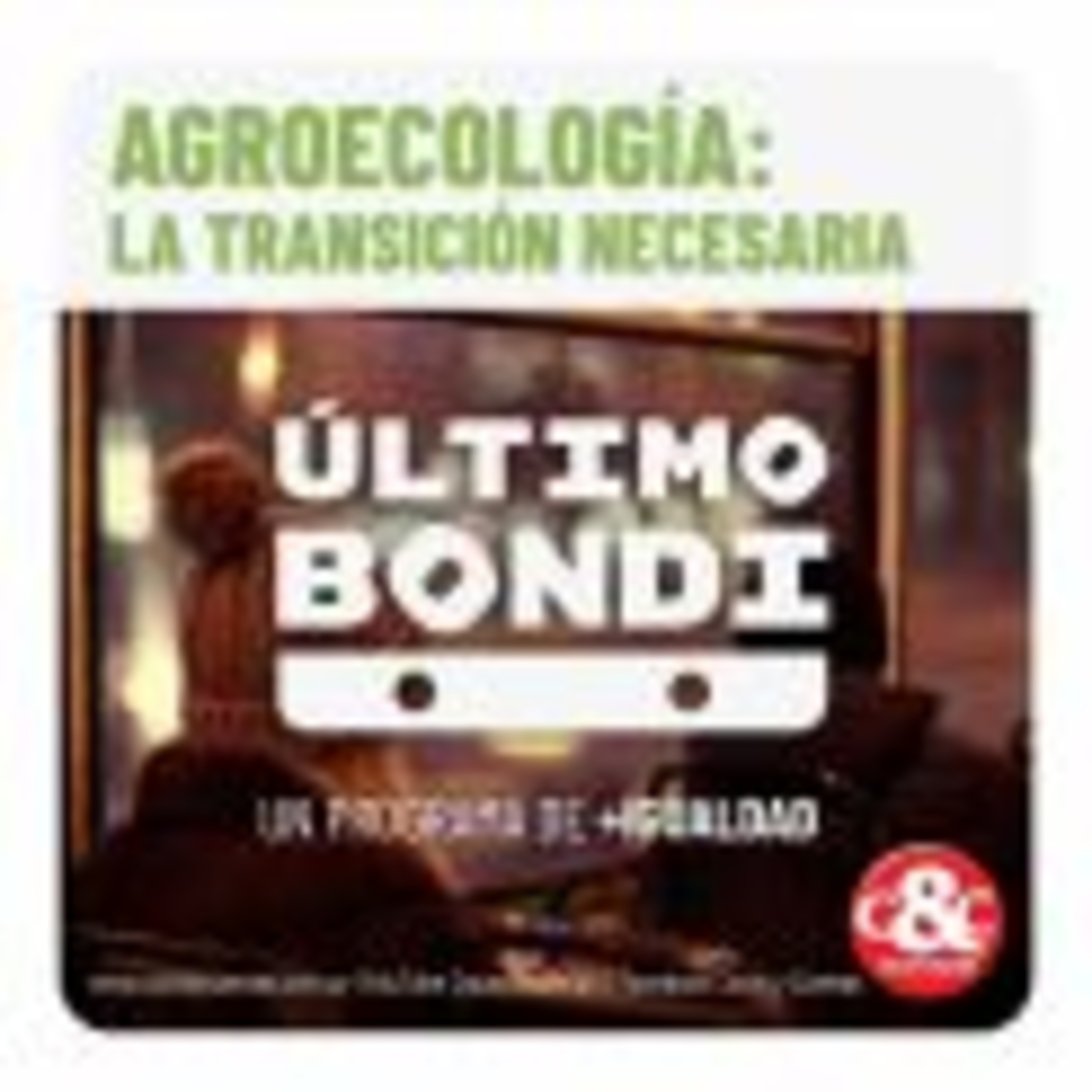colectivo +igualdad