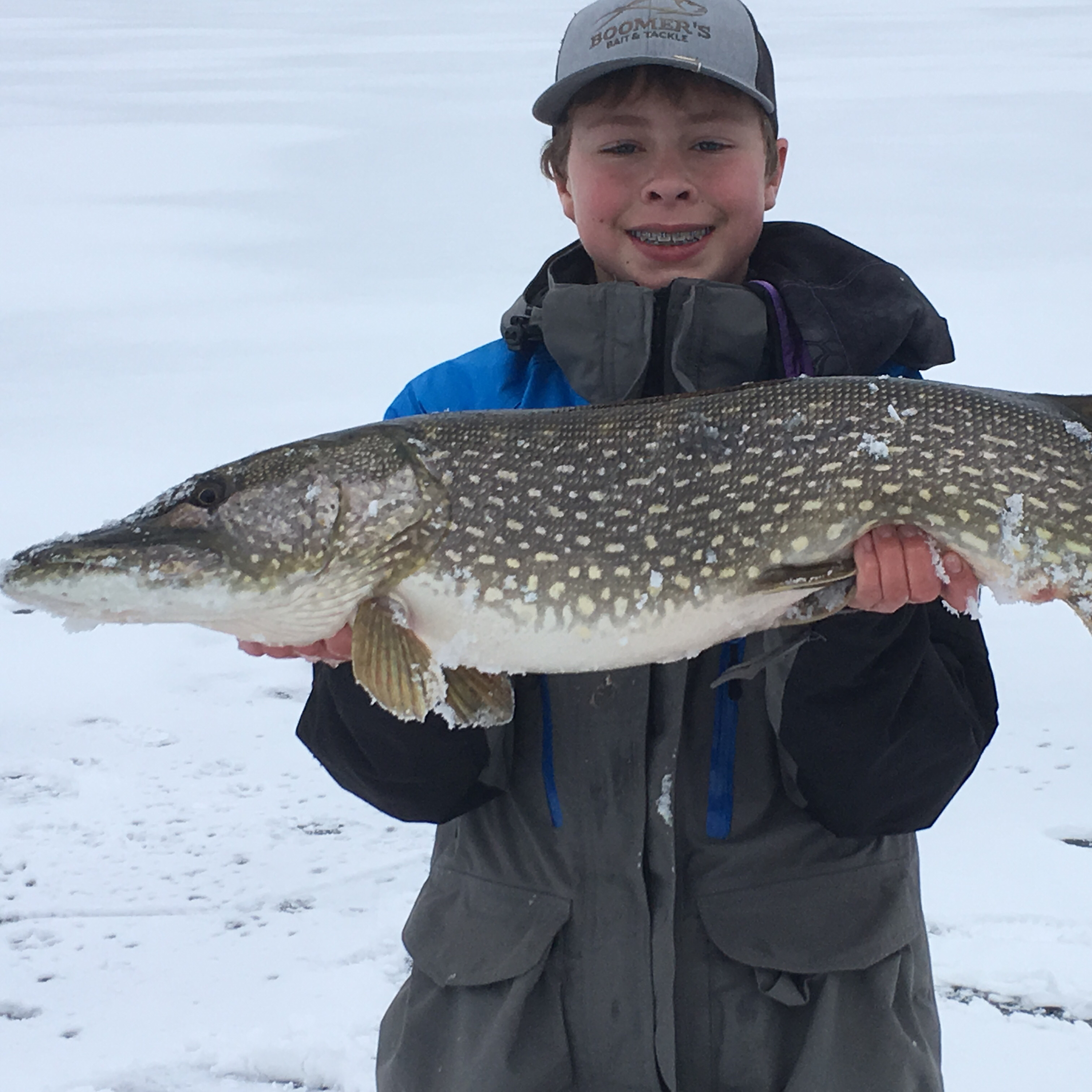 Everything about Bass fishing