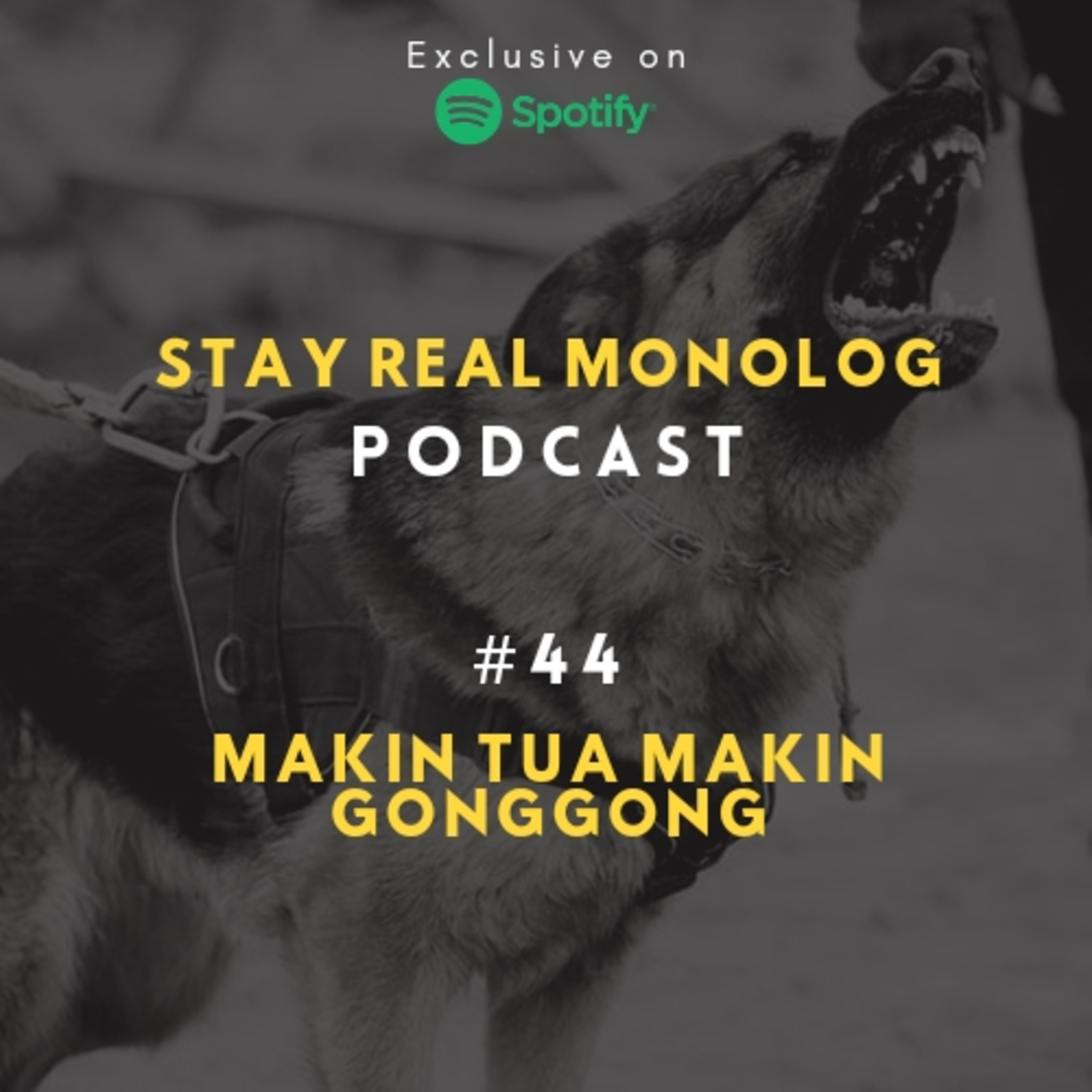 Stay Real Monolog