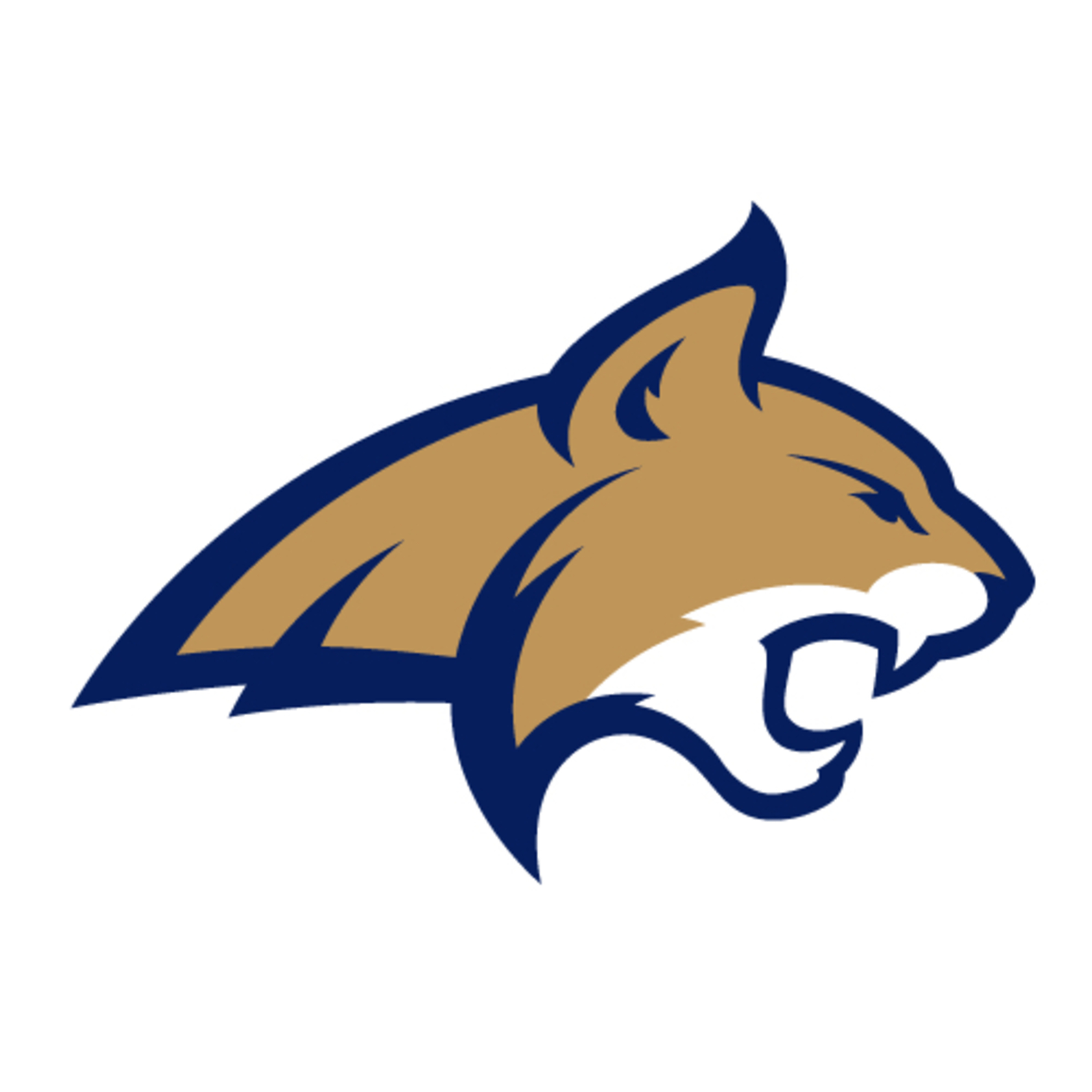 Montana St.- Coach Matt Miller episode artwork