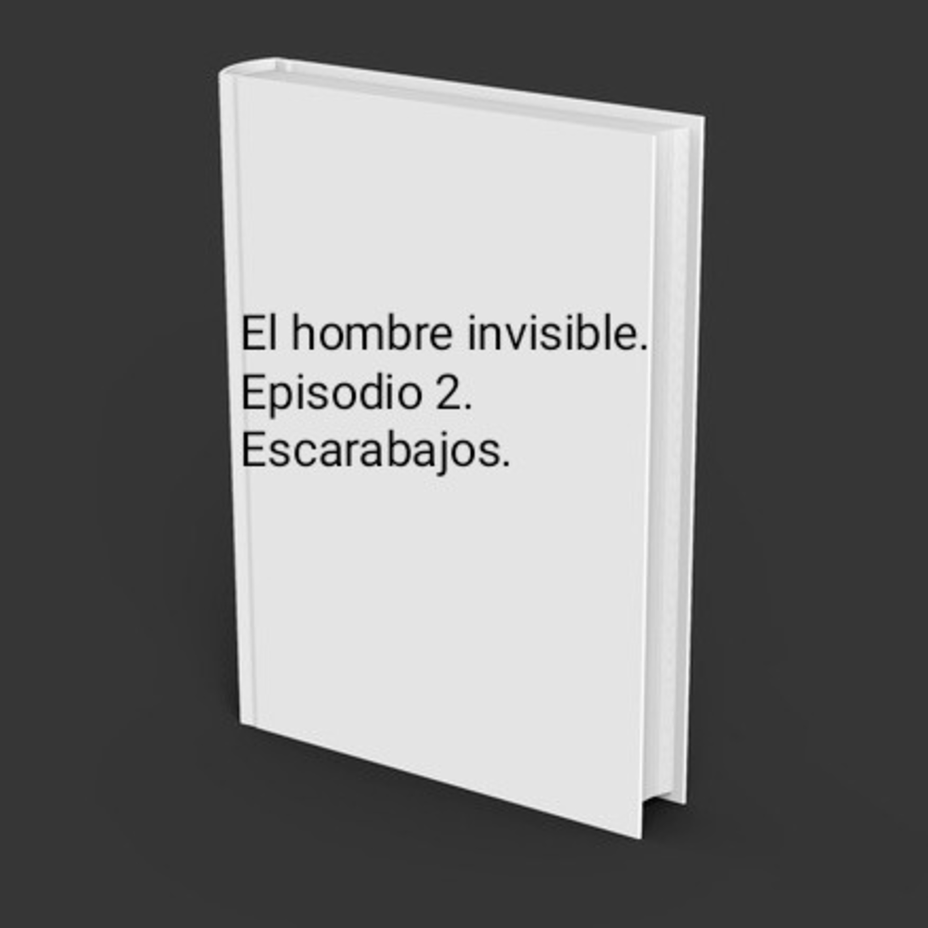 Episodio 2. El hombre invisible