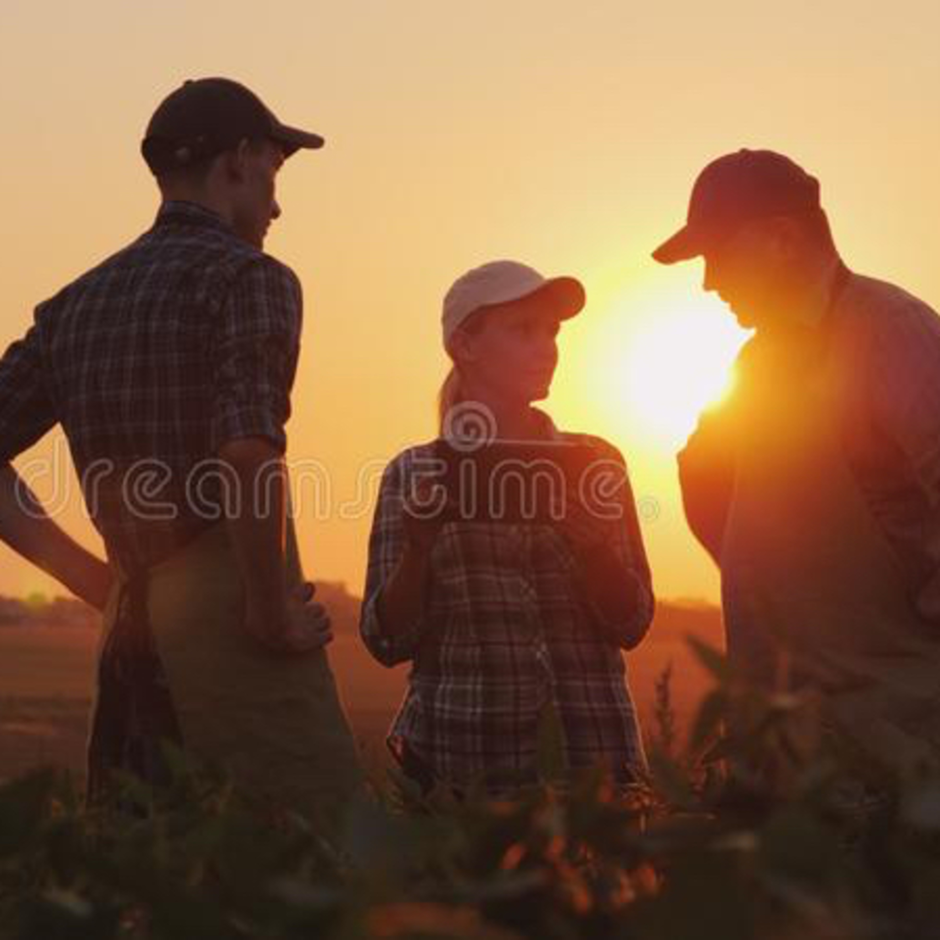 Portada de Buscadores de Tesoros