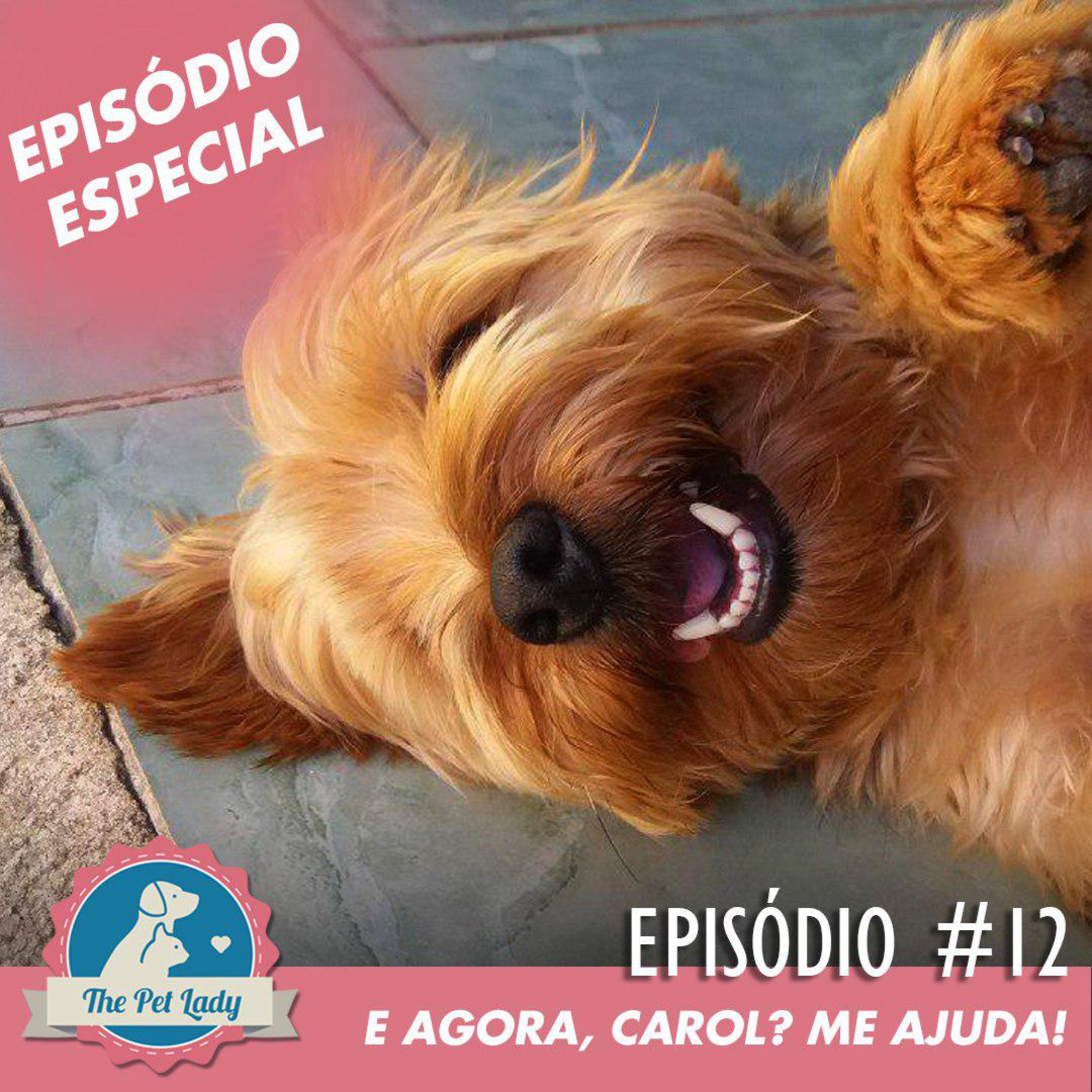 Pet Lady No Ar