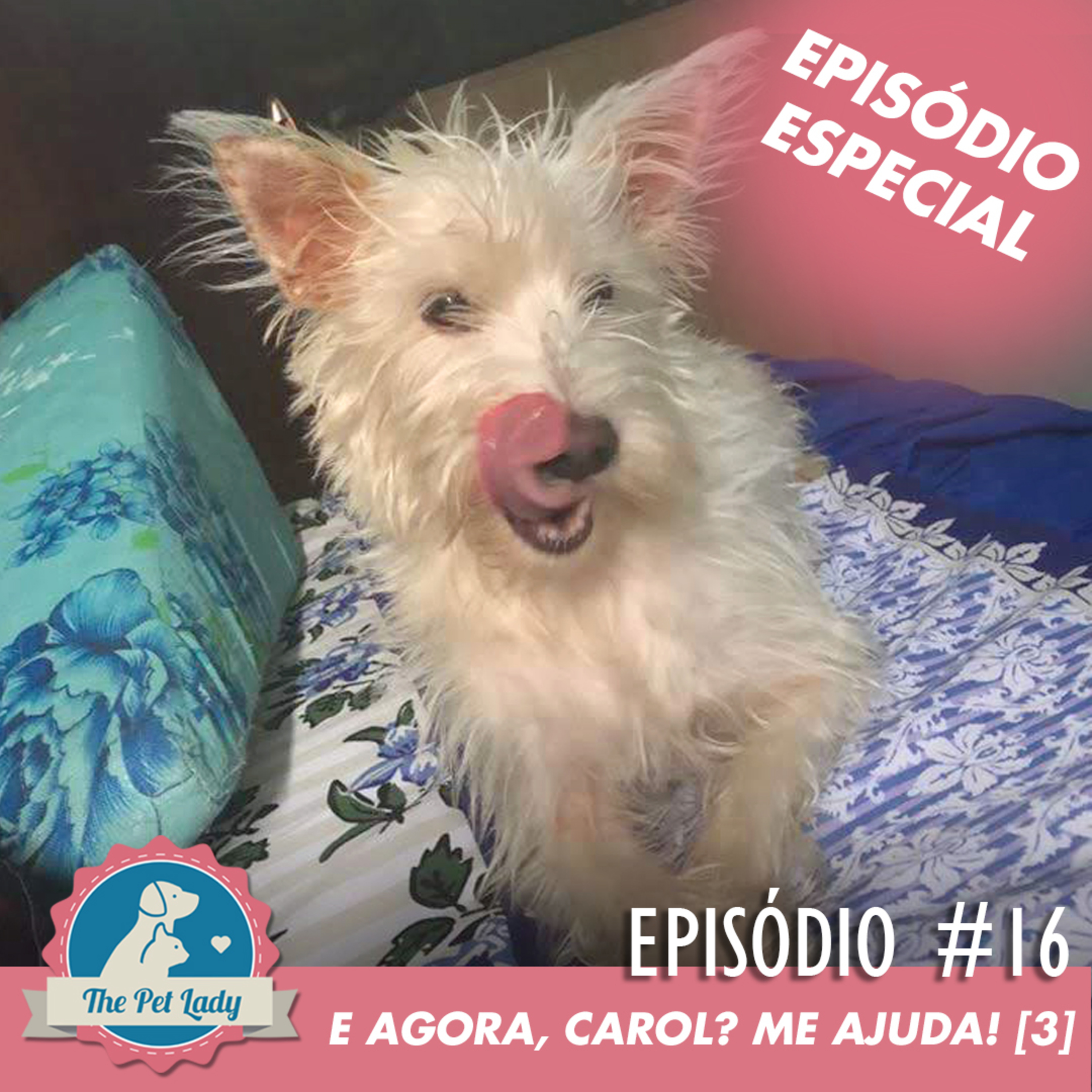 Pet Lady No Ar