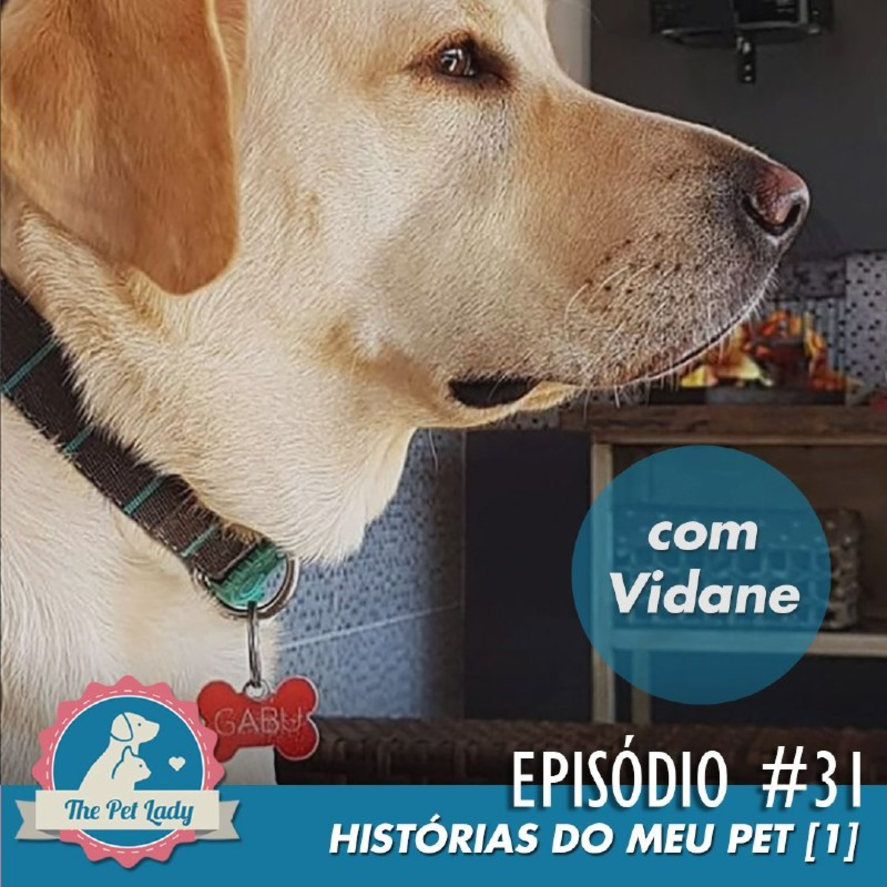 Pet Lady No Ar