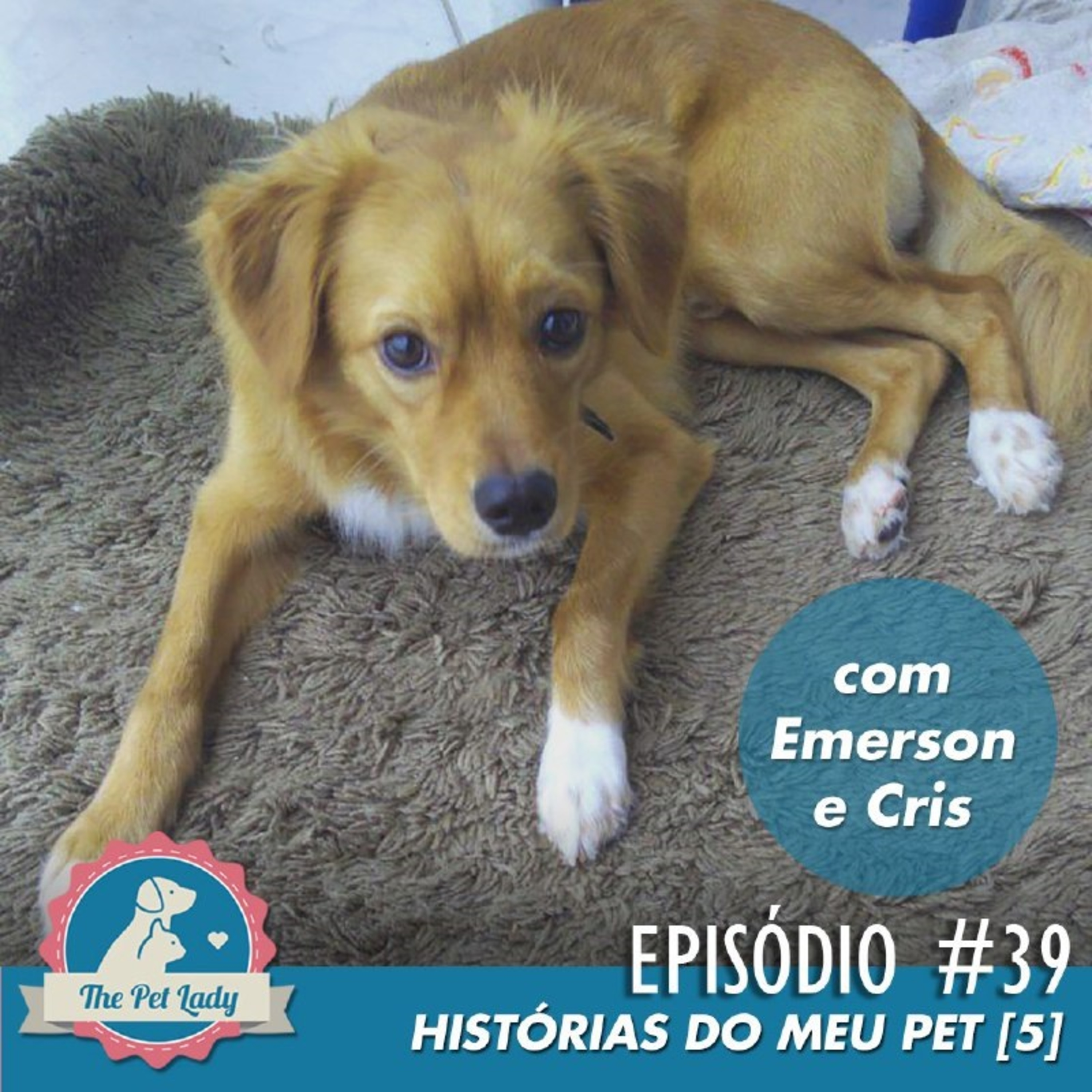 Pet Lady No Ar