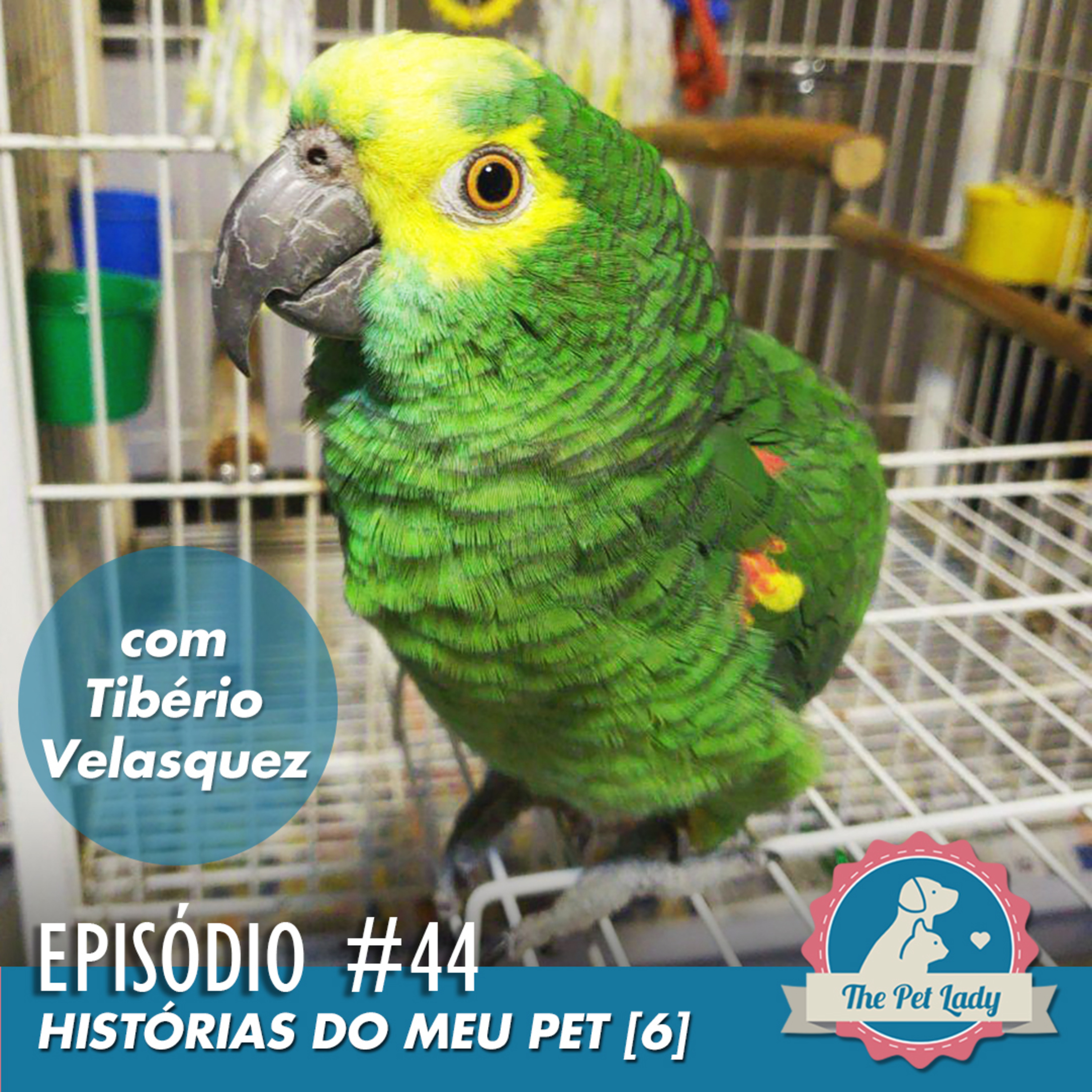 Pet Lady No Ar