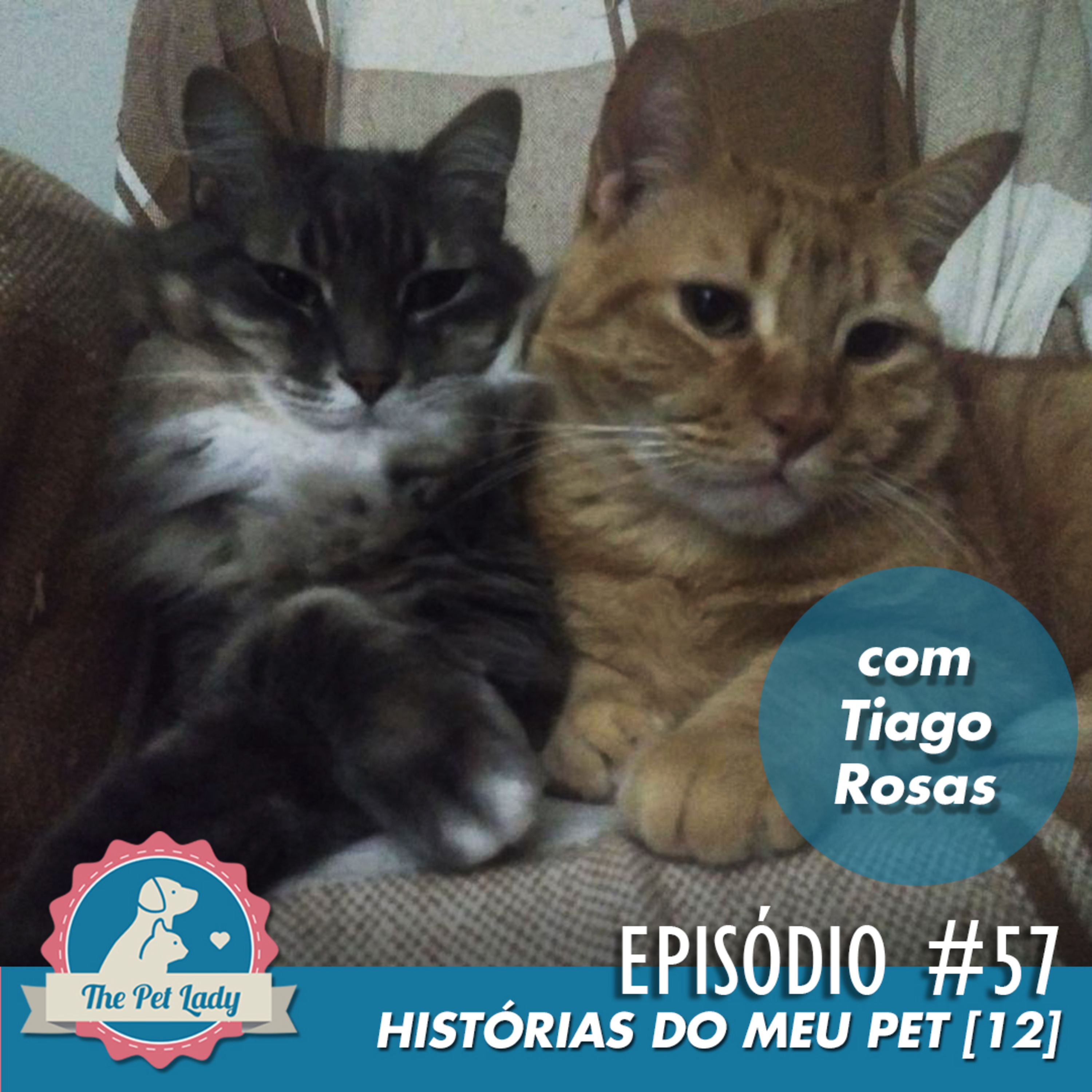 Pet Lady No Ar
