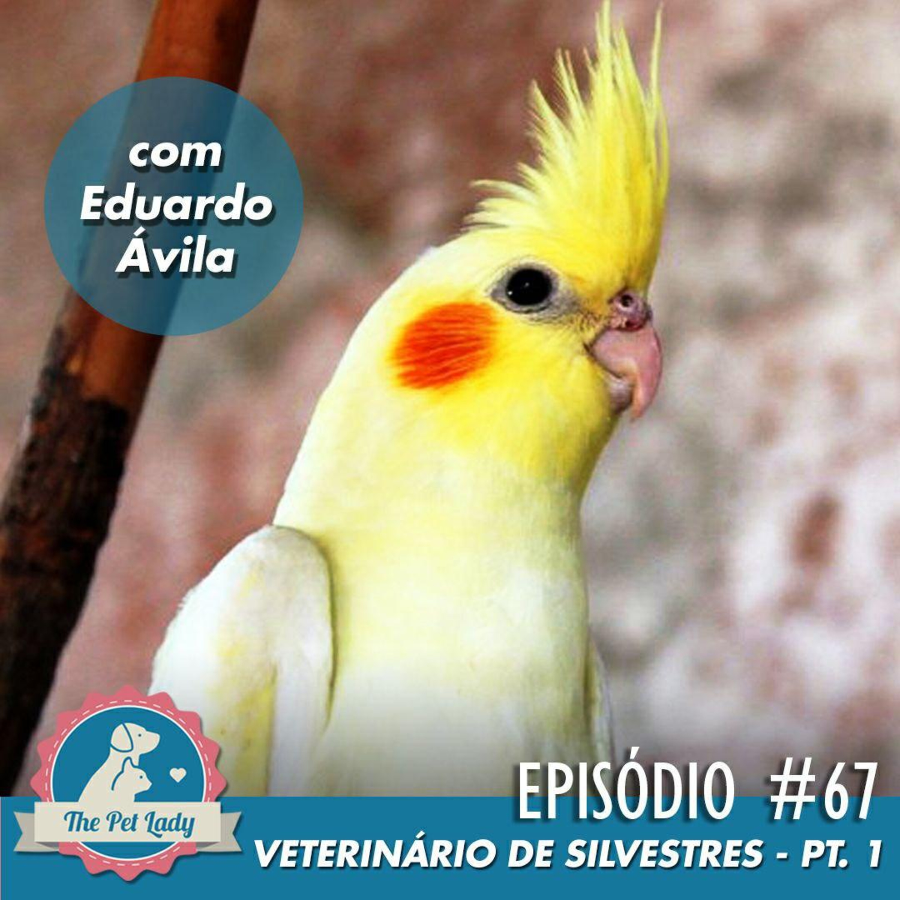 Pet Lady No Ar
