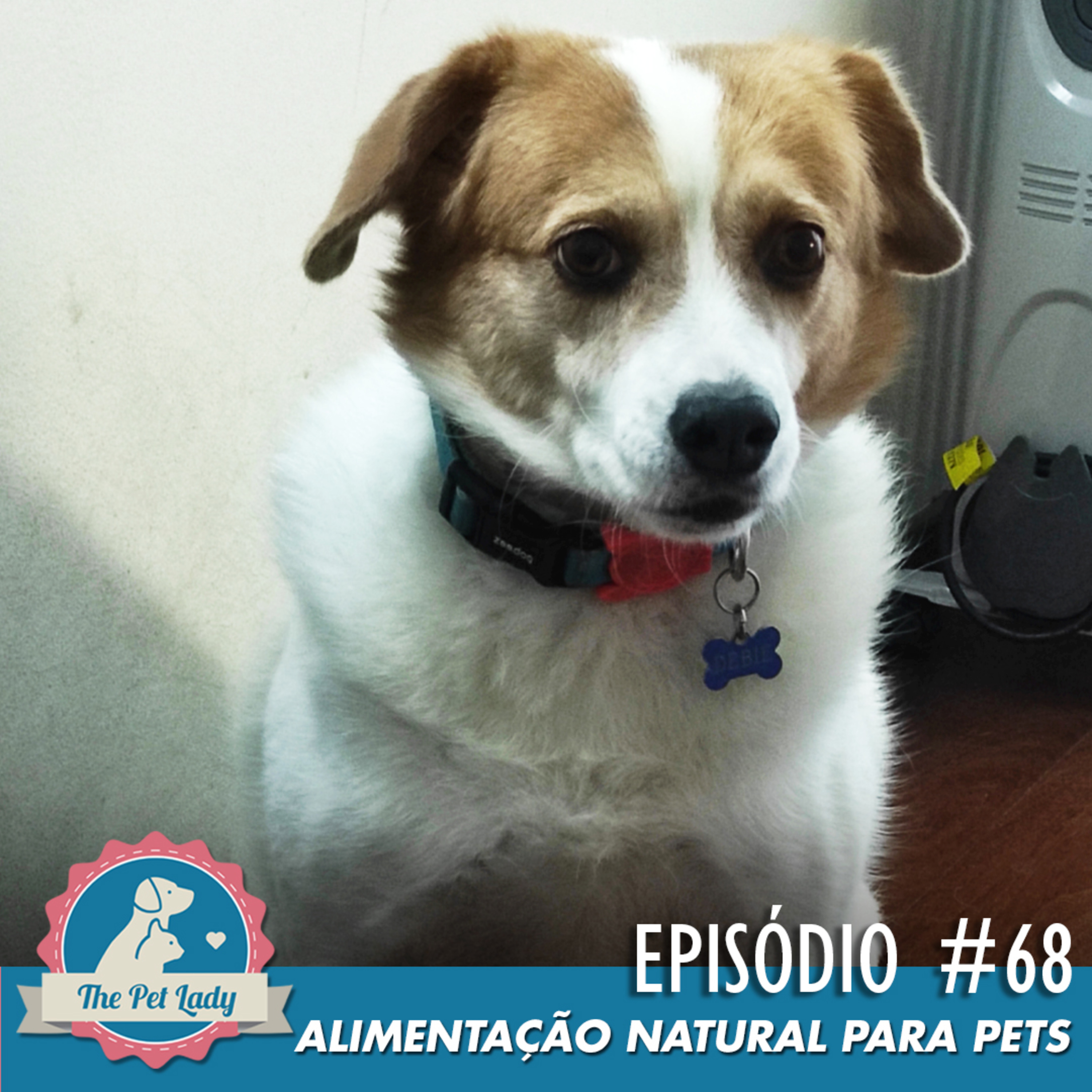 Pet Lady No Ar