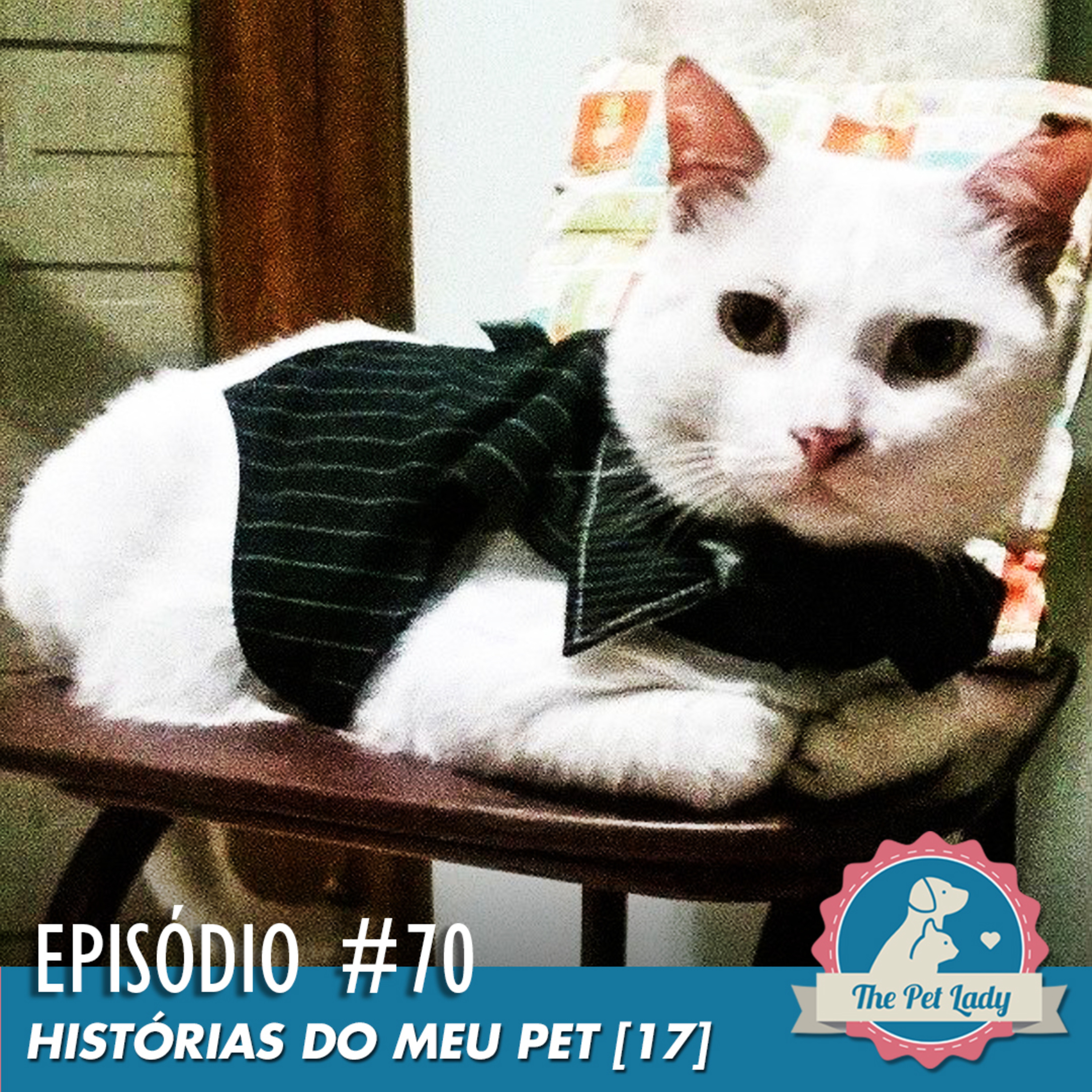 Pet Lady No Ar