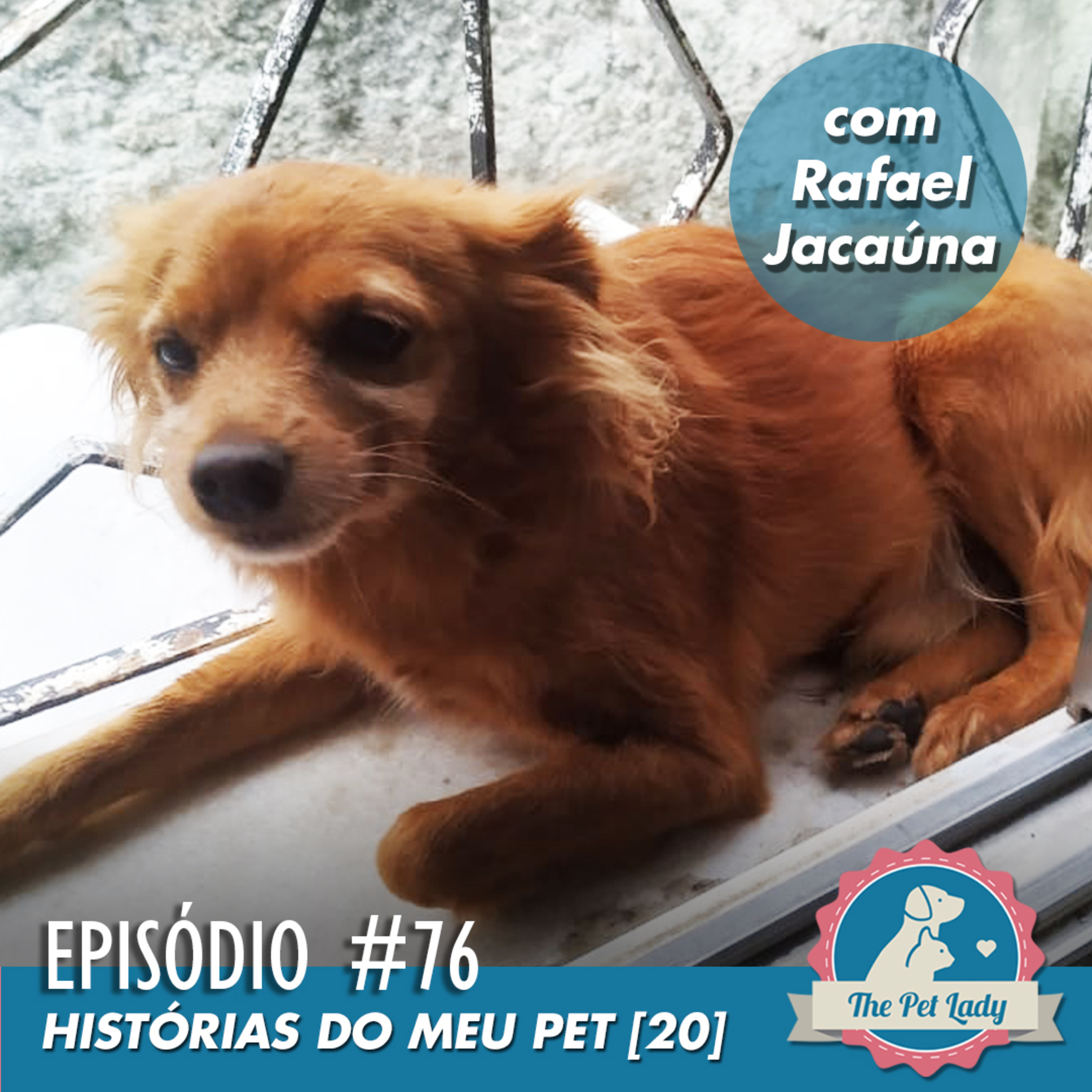 Pet Lady No Ar