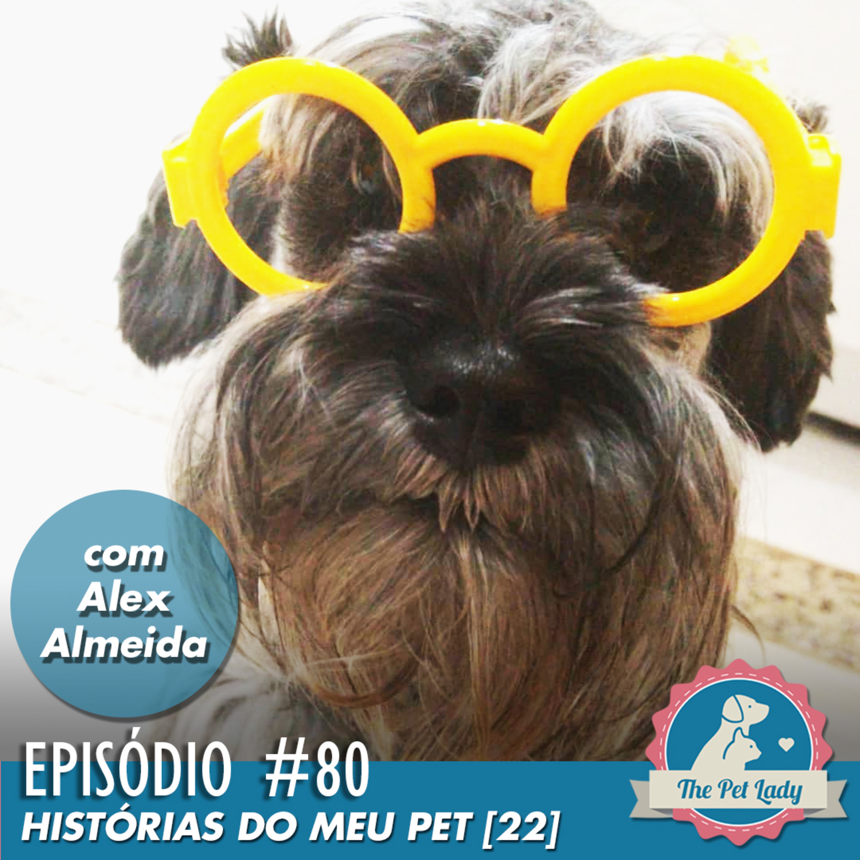 Pet Lady No Ar
