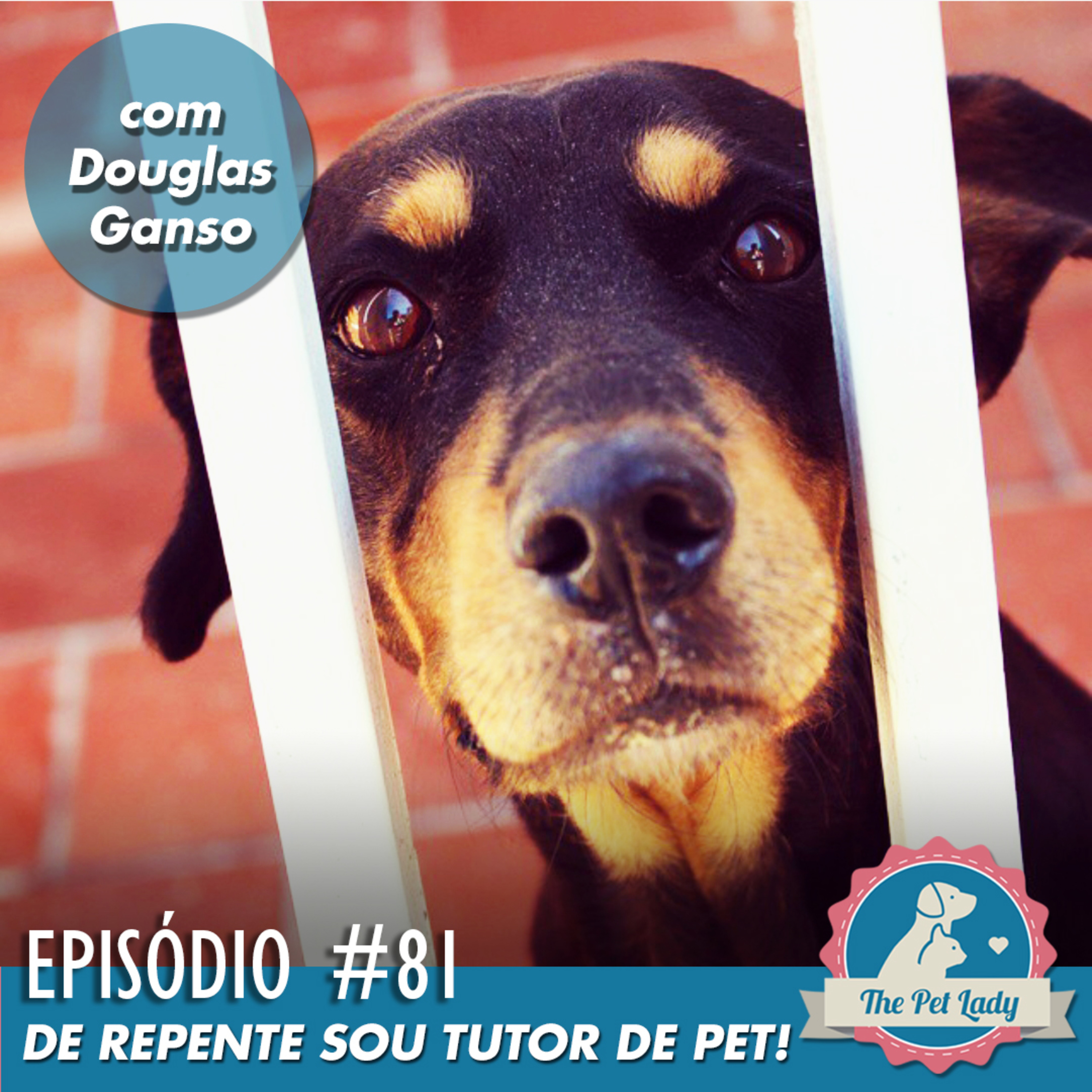 Pet Lady No Ar