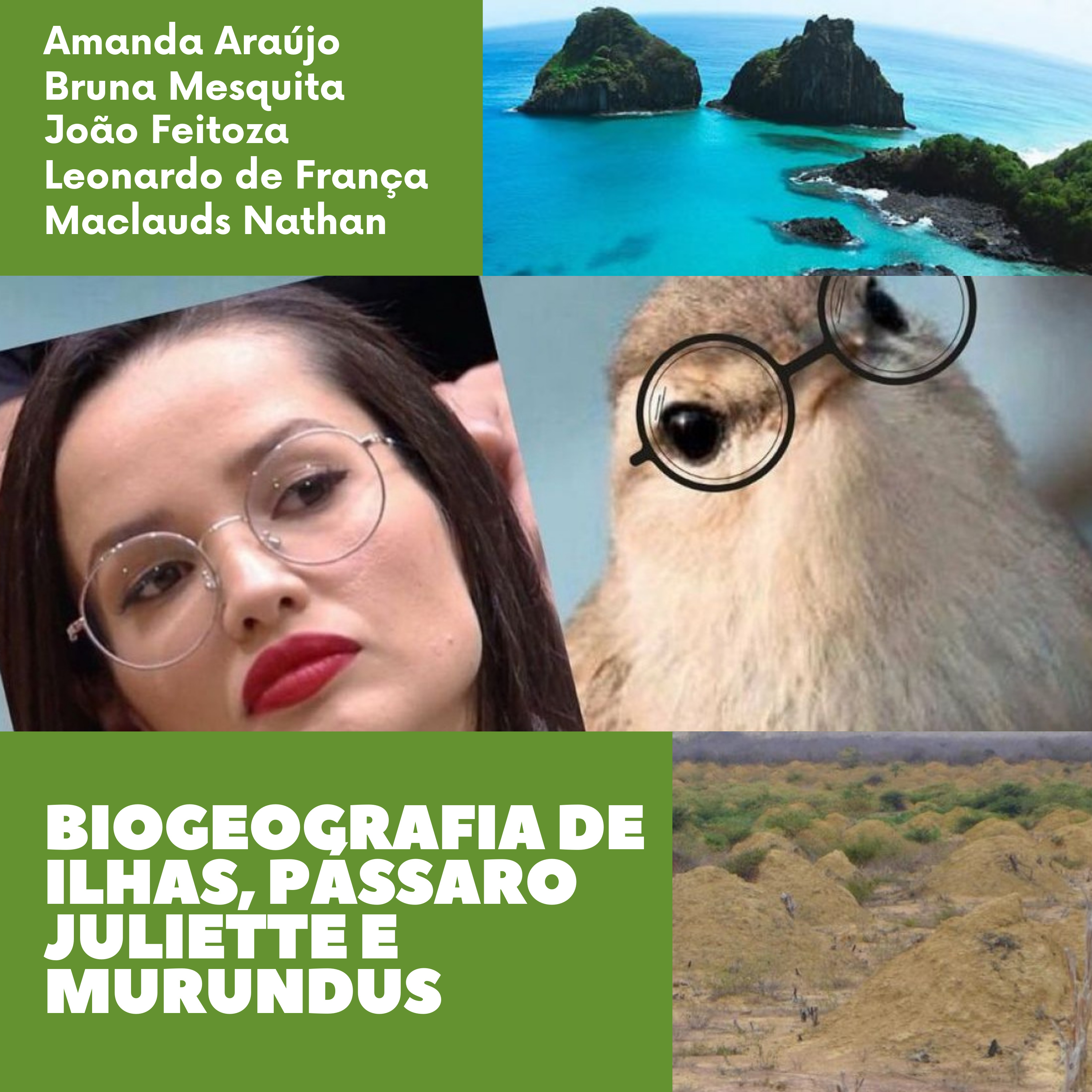 2 - Biogeografia de Ilhas, Pássaro Juliette e Murundus 