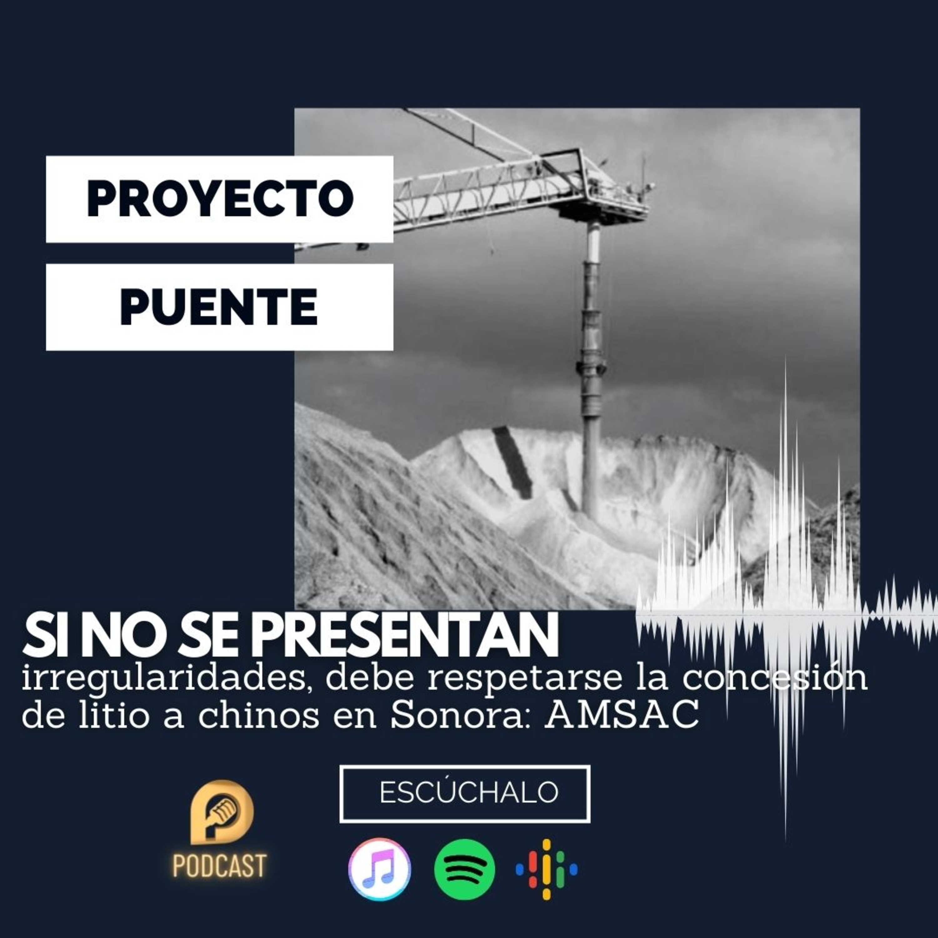Proyecto Puente