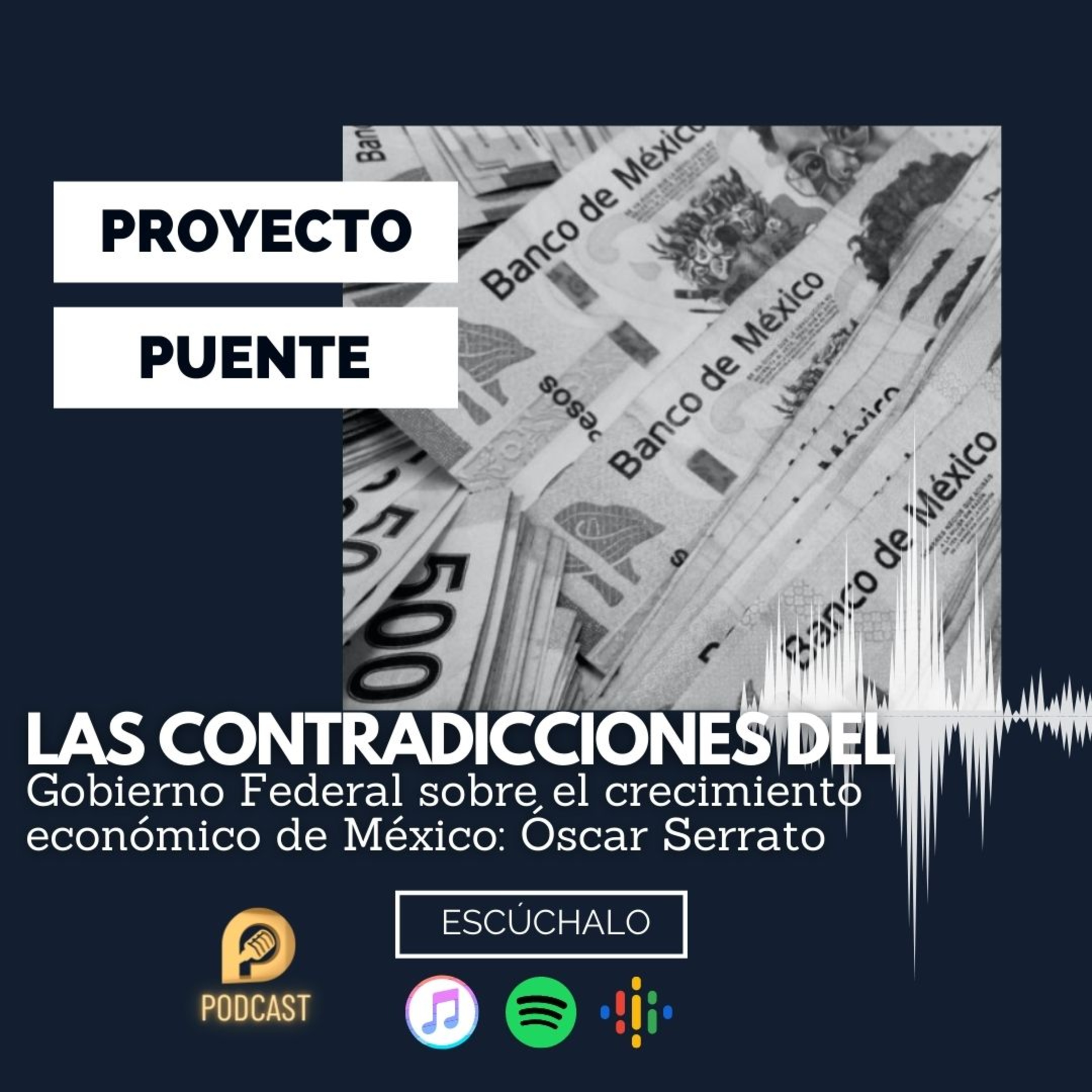 Proyecto Puente