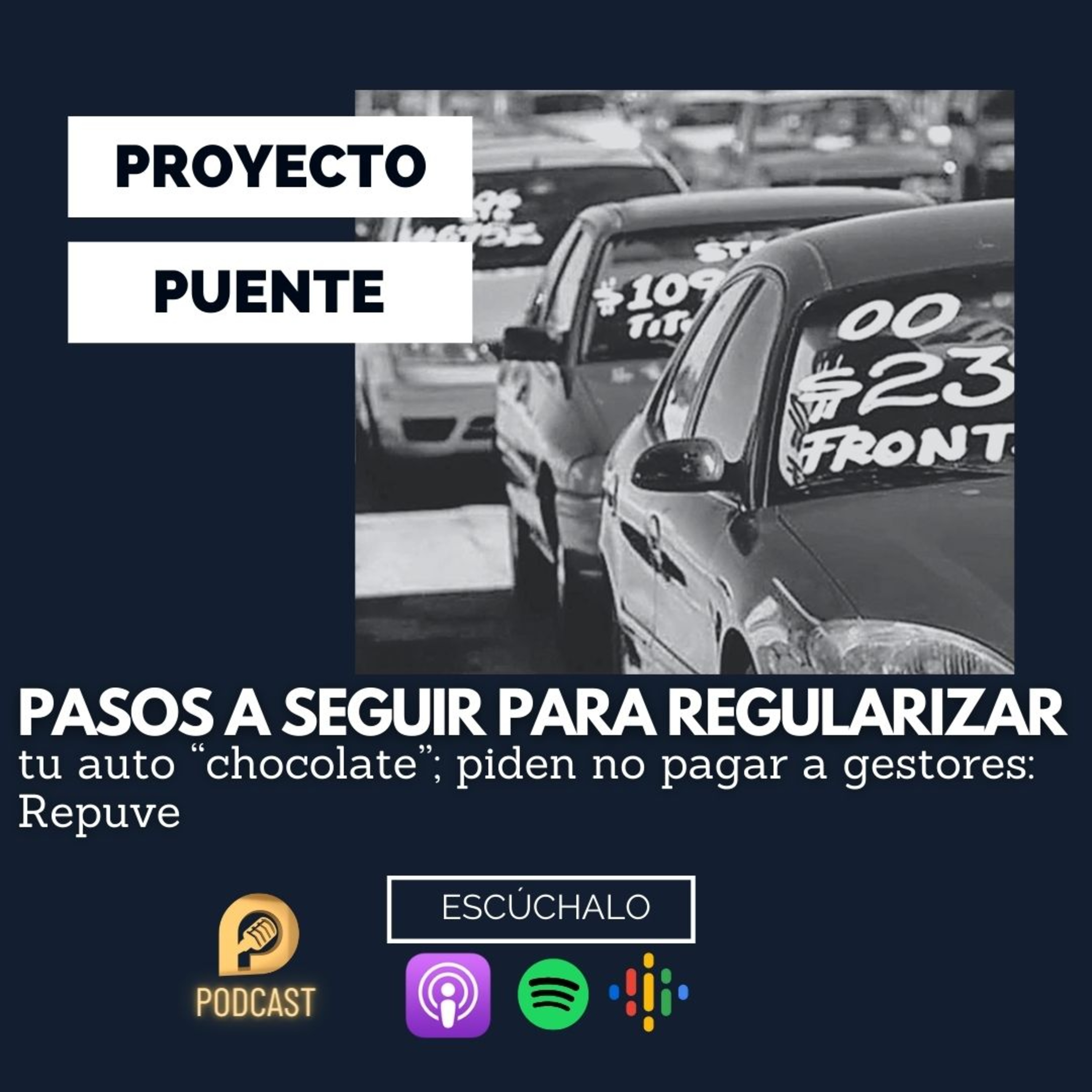 Proyecto Puente