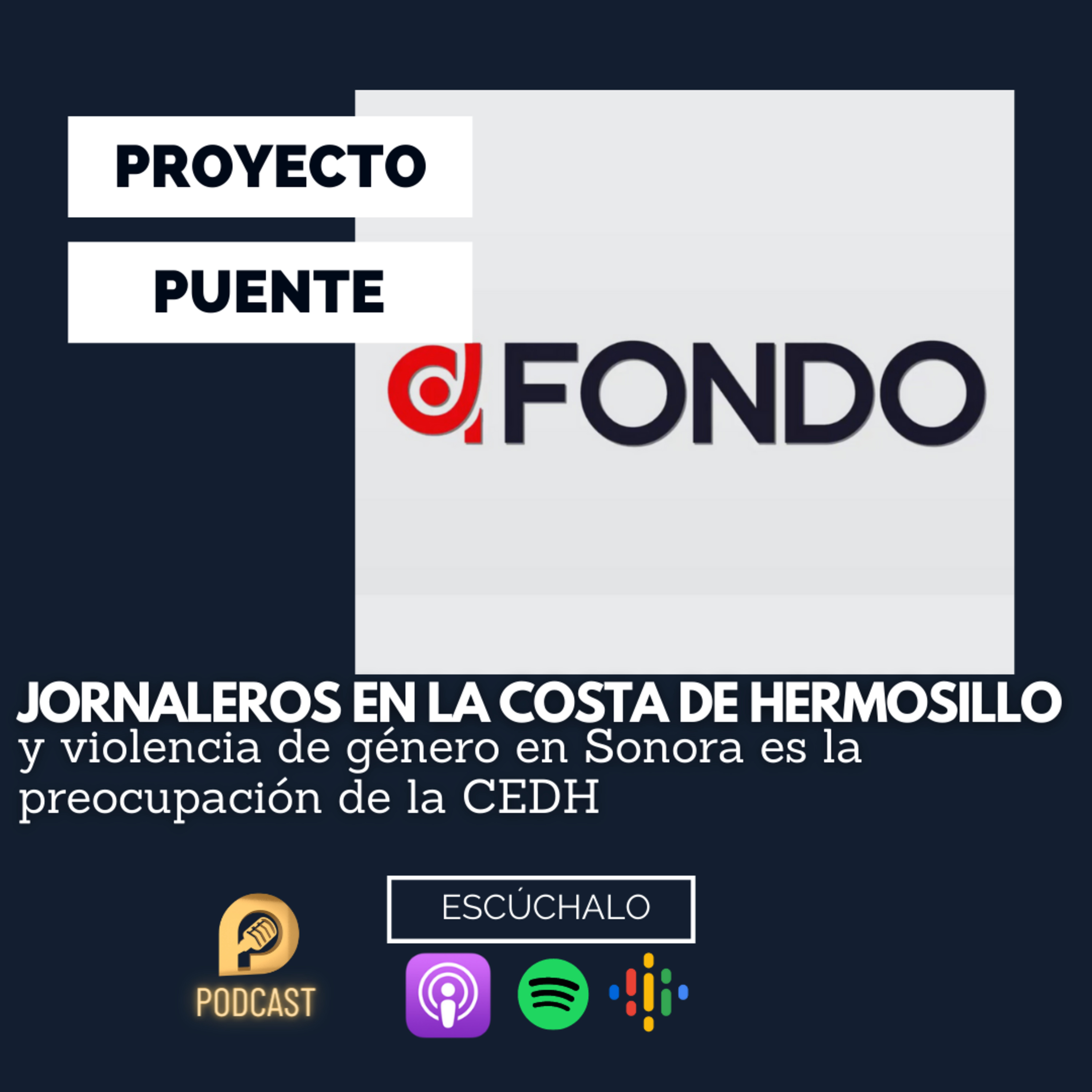 Proyecto Puente