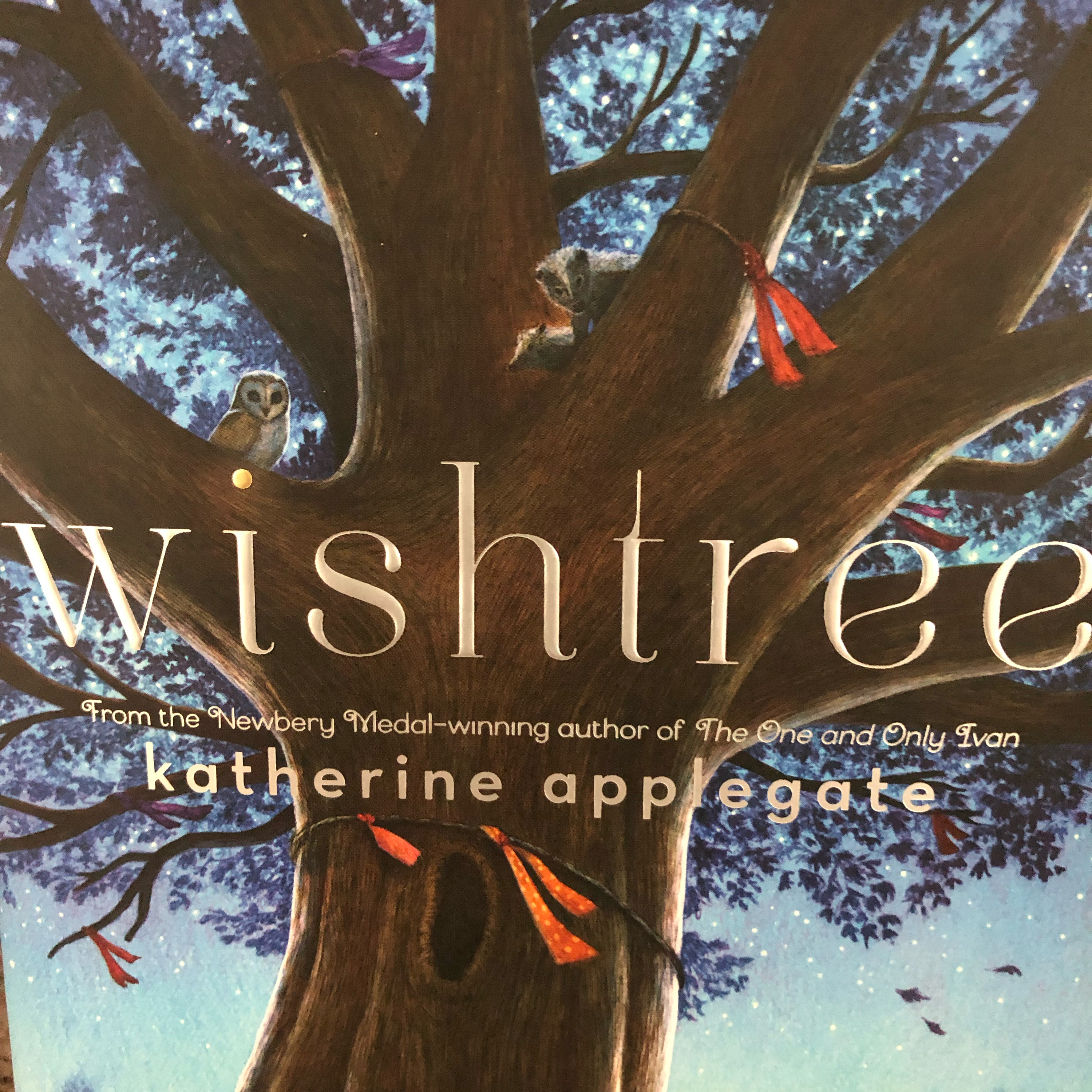 Meet ‘Wishtree’ the local tree... episode artwork