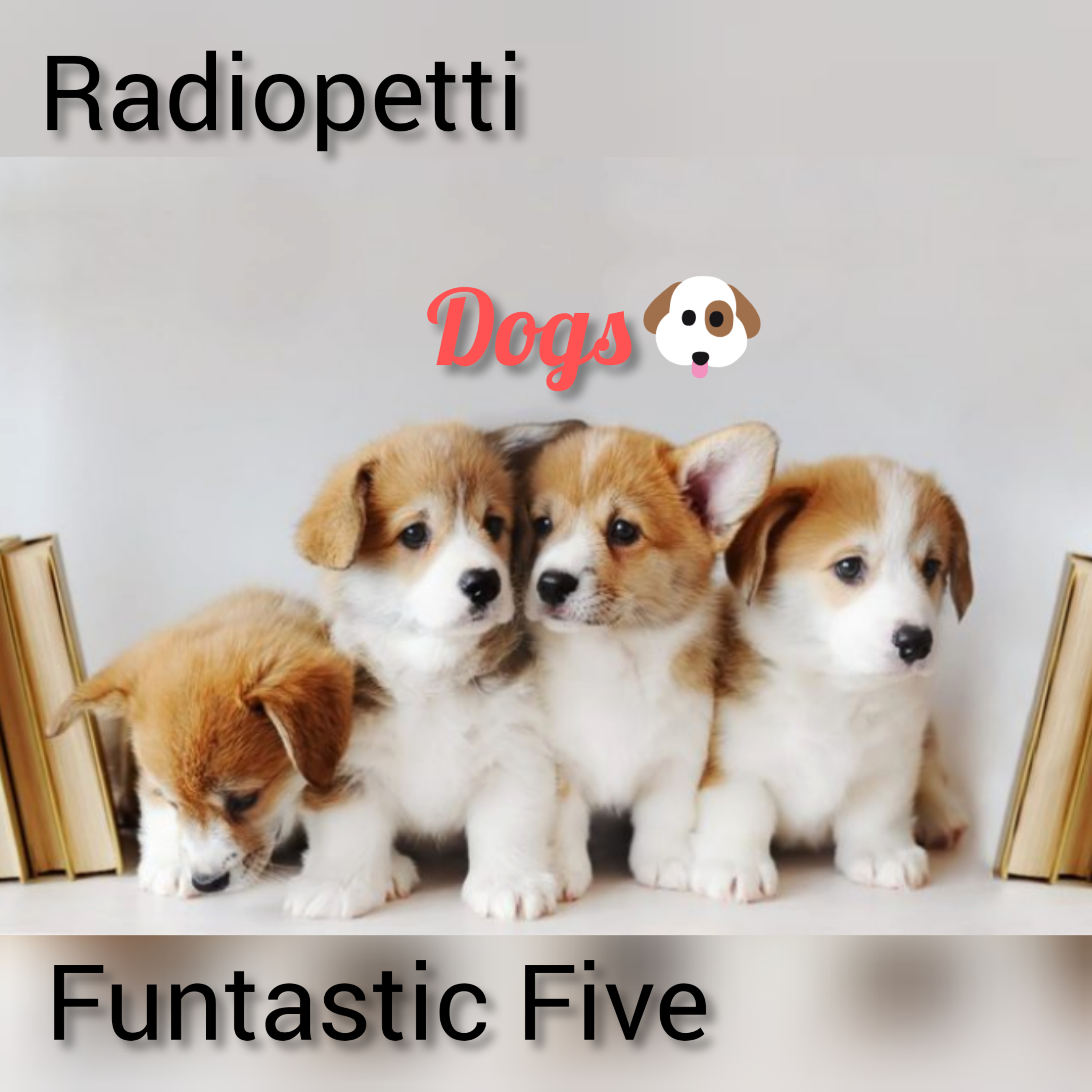 Radiopetti