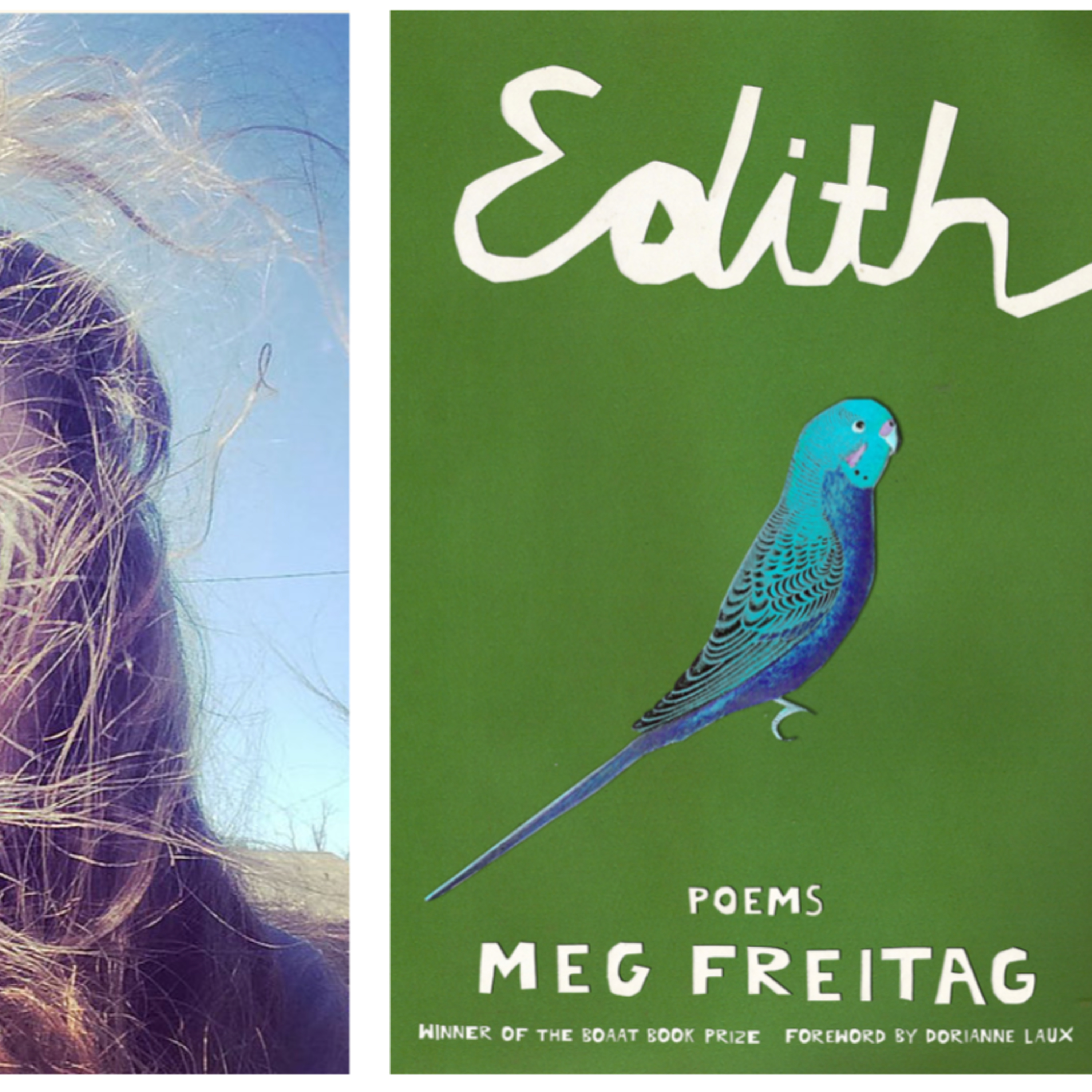 Interview with Meg Freitag by The Hive Poetry Collective episode artwork
