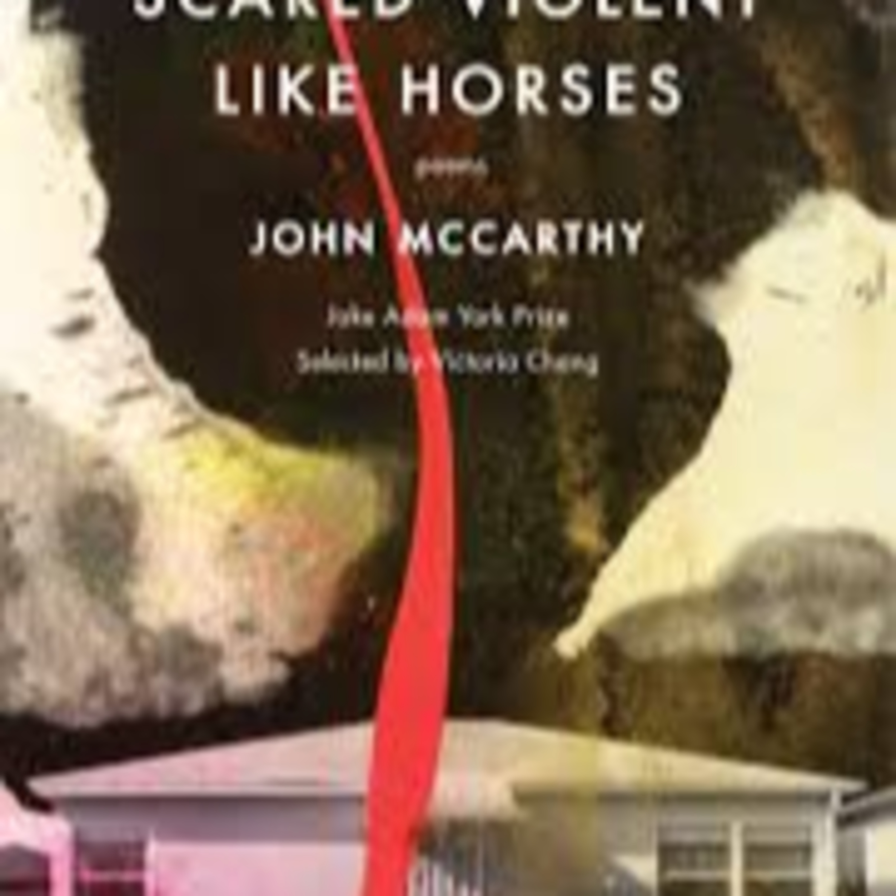 Episode 33) Dion O'Reilly interviews poet Cynthia Neely and reviews John McCarthy's Scared Violent Like Horses. episode artwork
