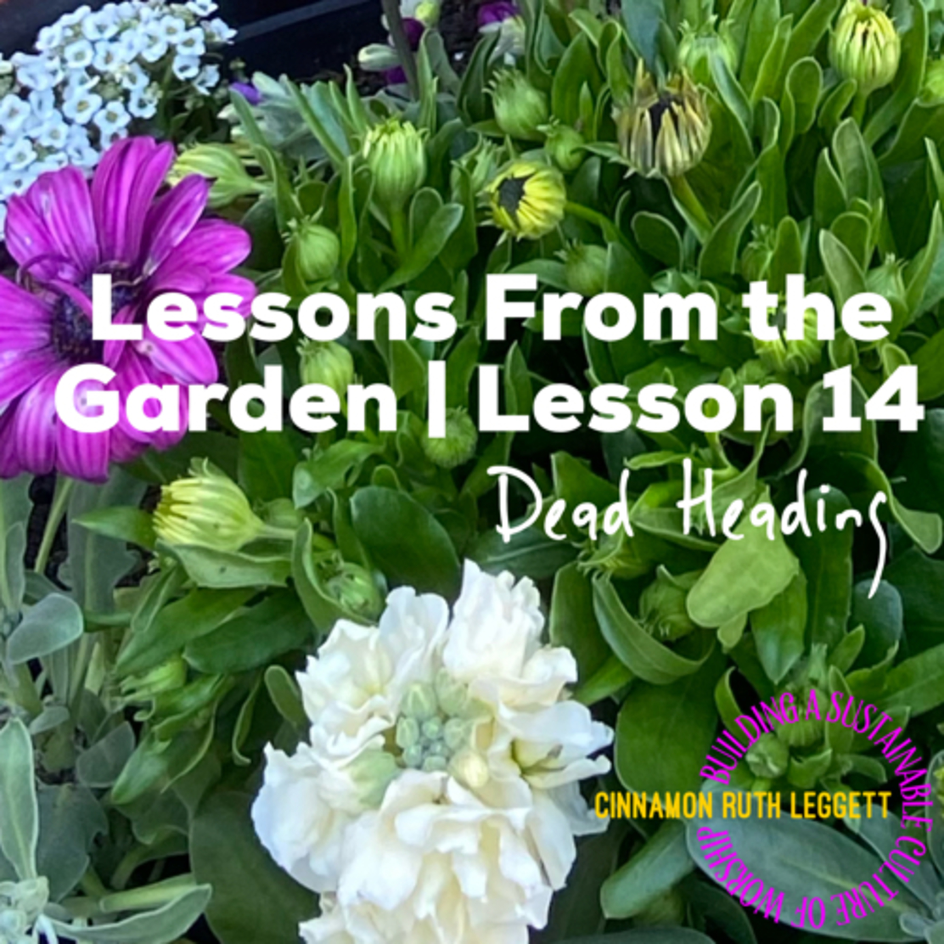 Lessons From the Garden | Lesson 14
