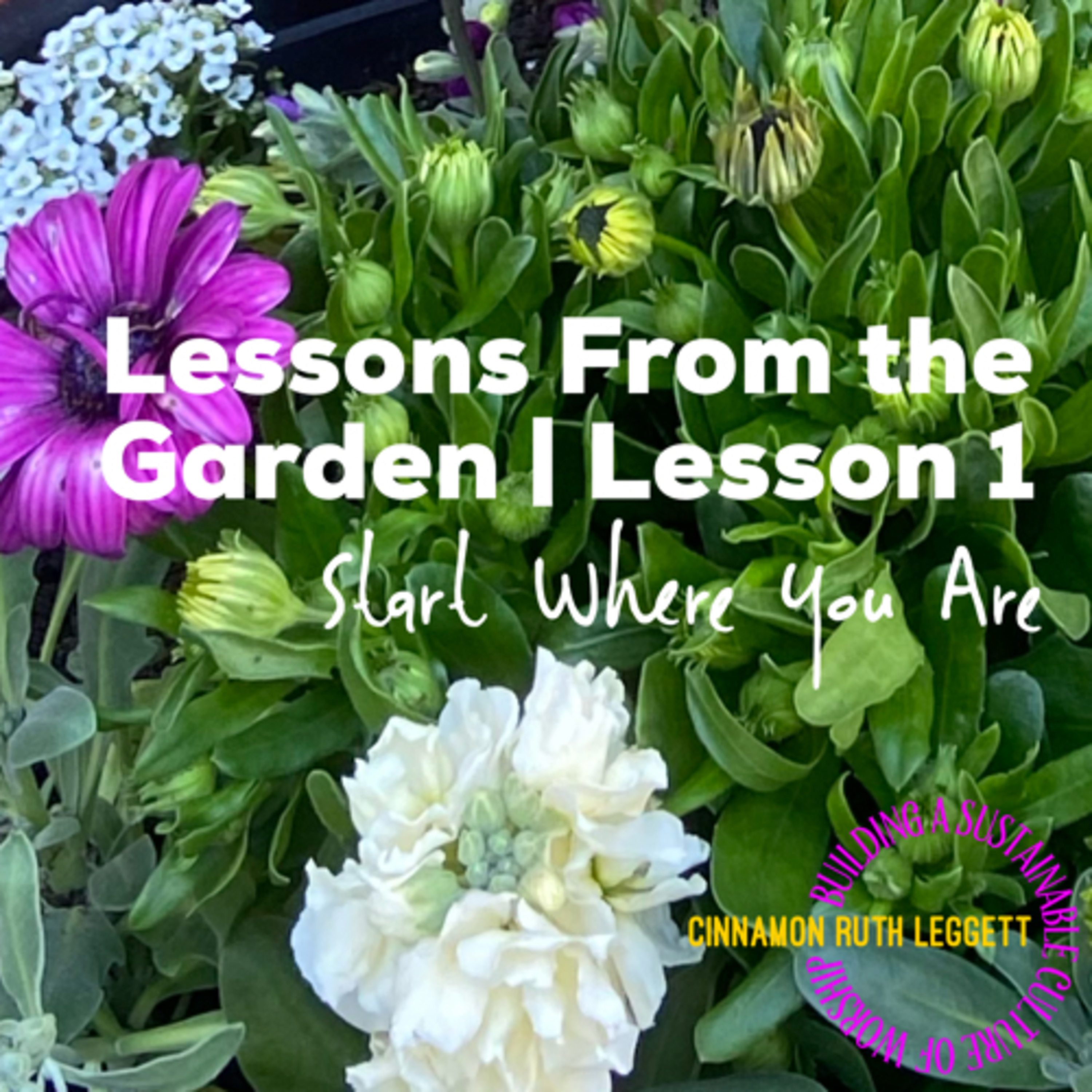 Lessons from the Garden | Lesson 1