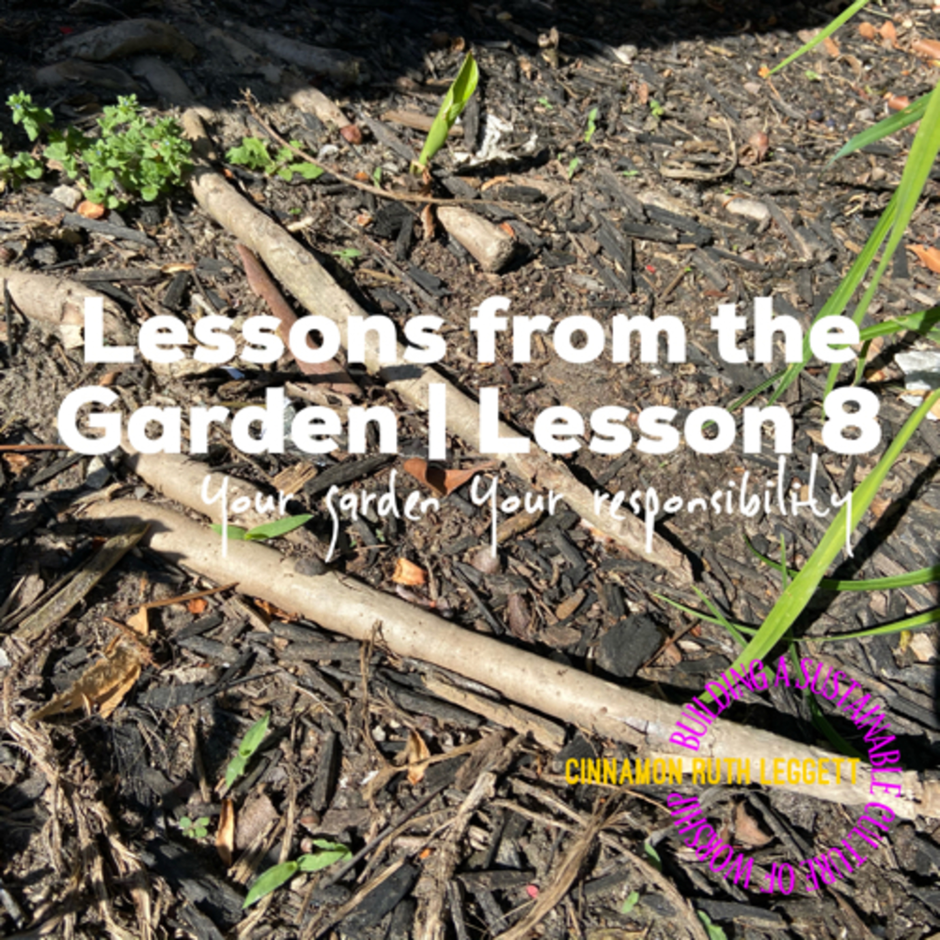 Lessons from the Garden | Lesson 8 ...Your garden your responsibility