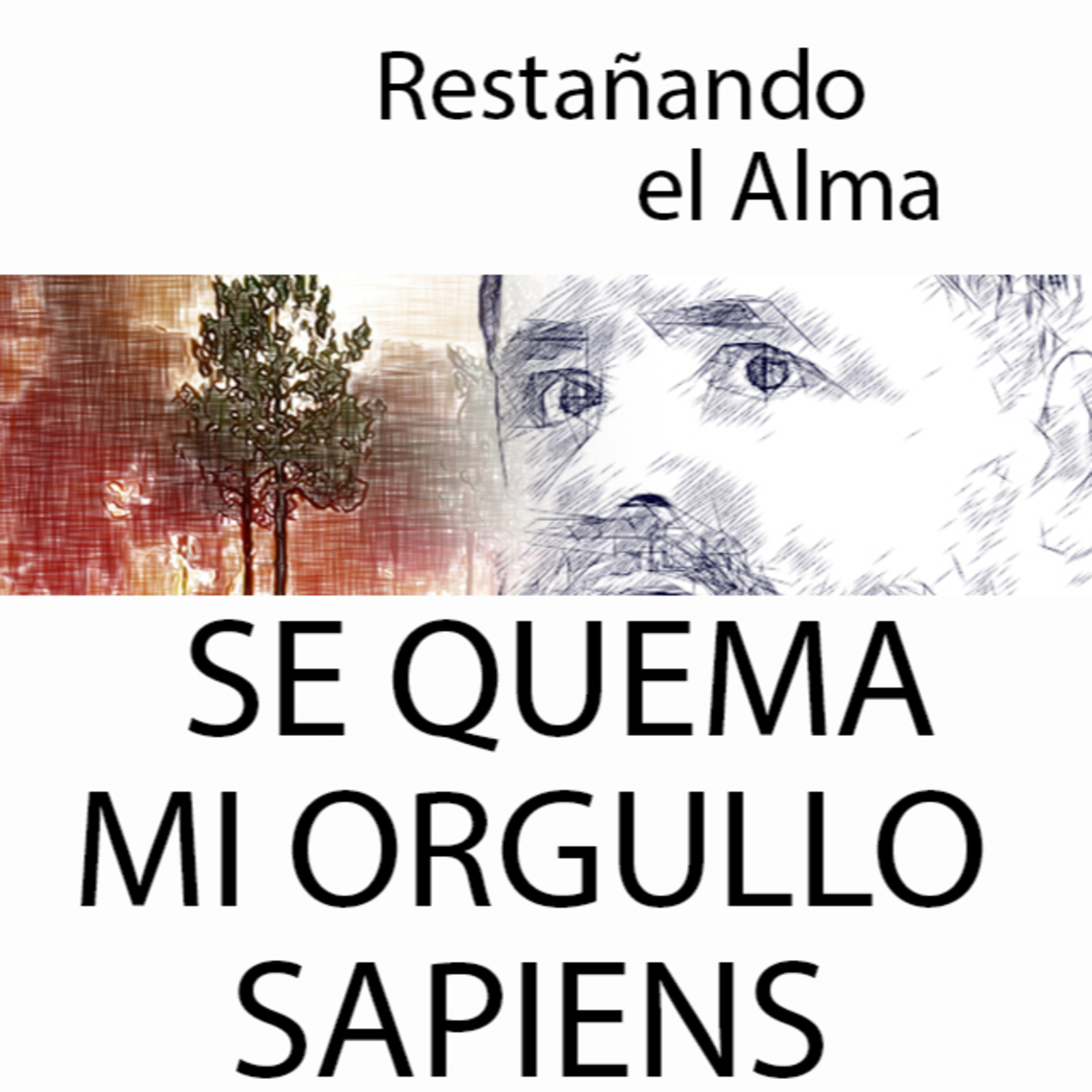 RESTAÑANDO EL ALMA