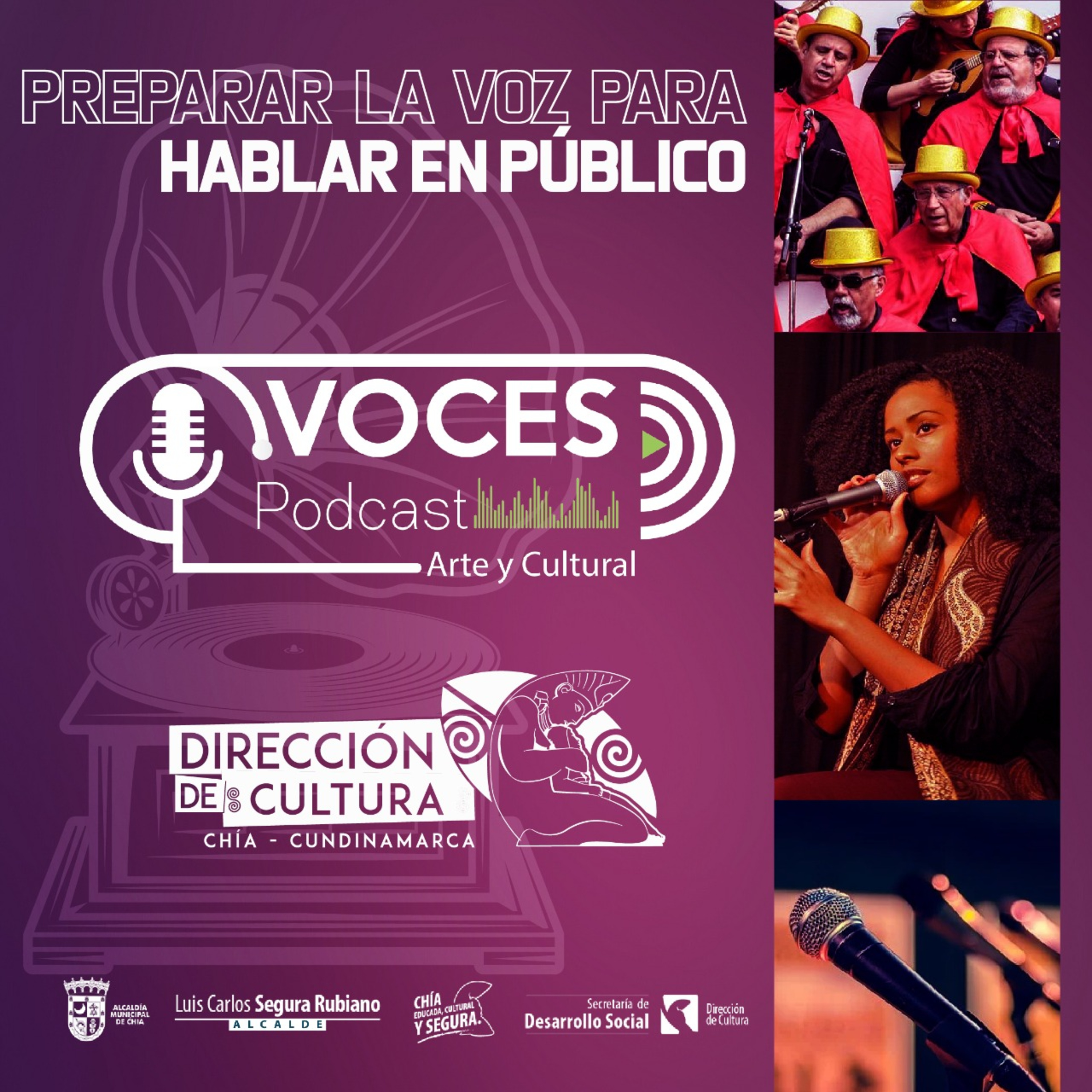 PREPARAR LA VOZ PARA HABLAR EN PÚBLICO episode artwork