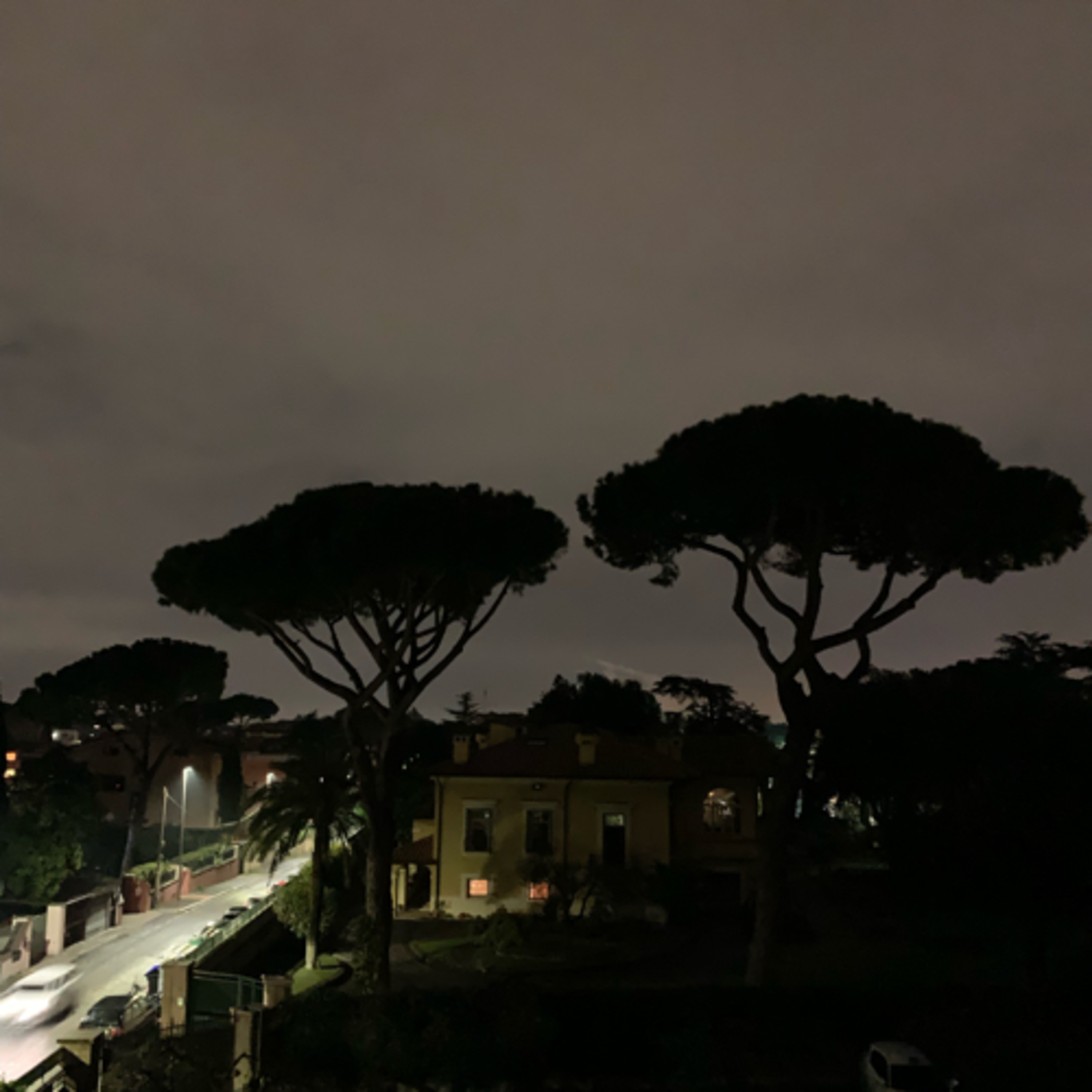 The Slowdown - Mike Tortora