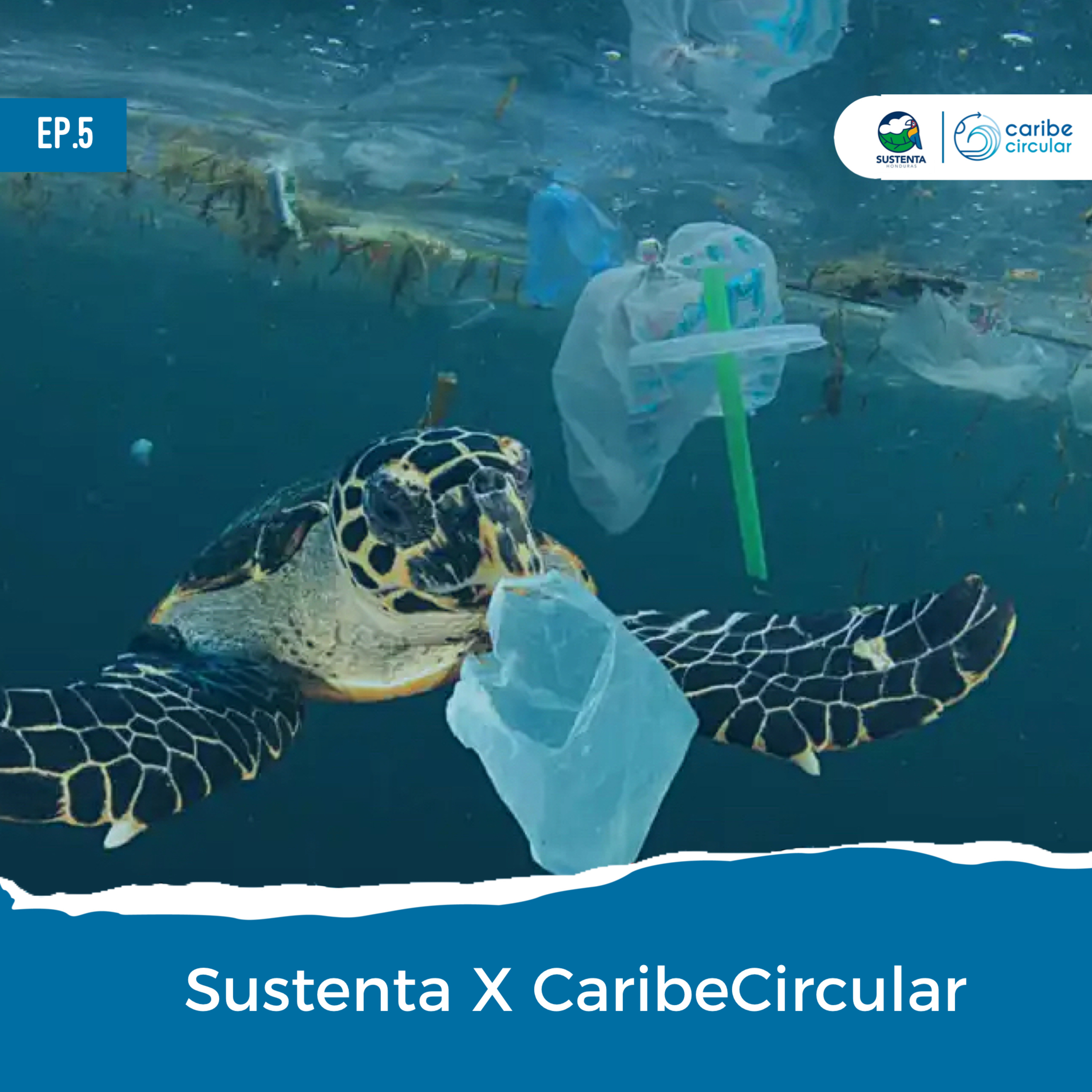 Sustenta X Caribe Circular episode artwork