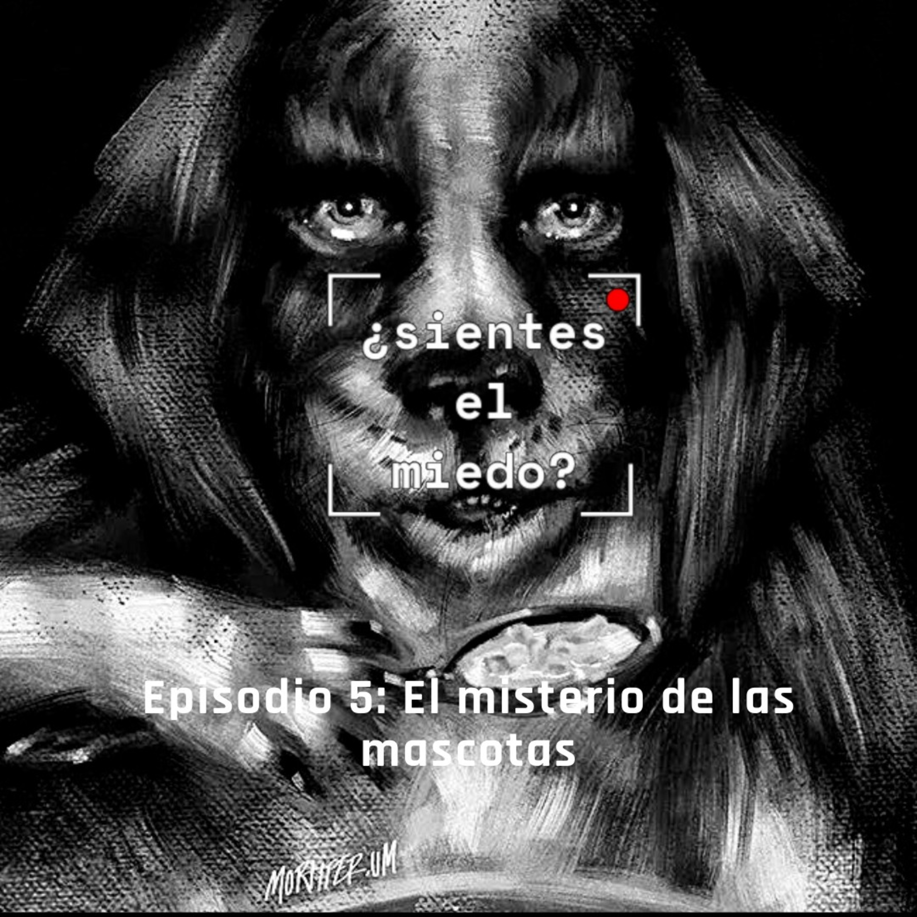 ¿sientes el miedo?