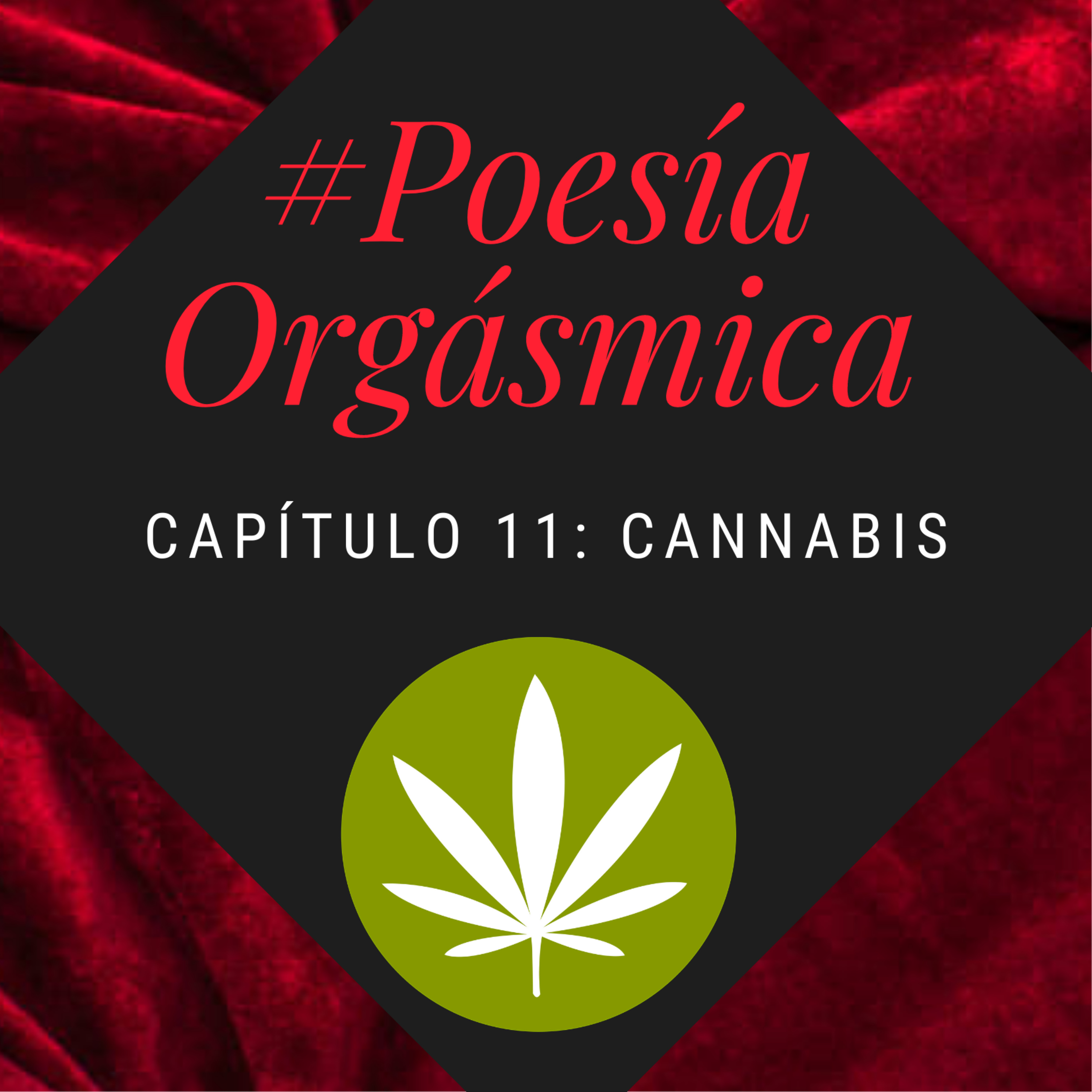 Sensualogía