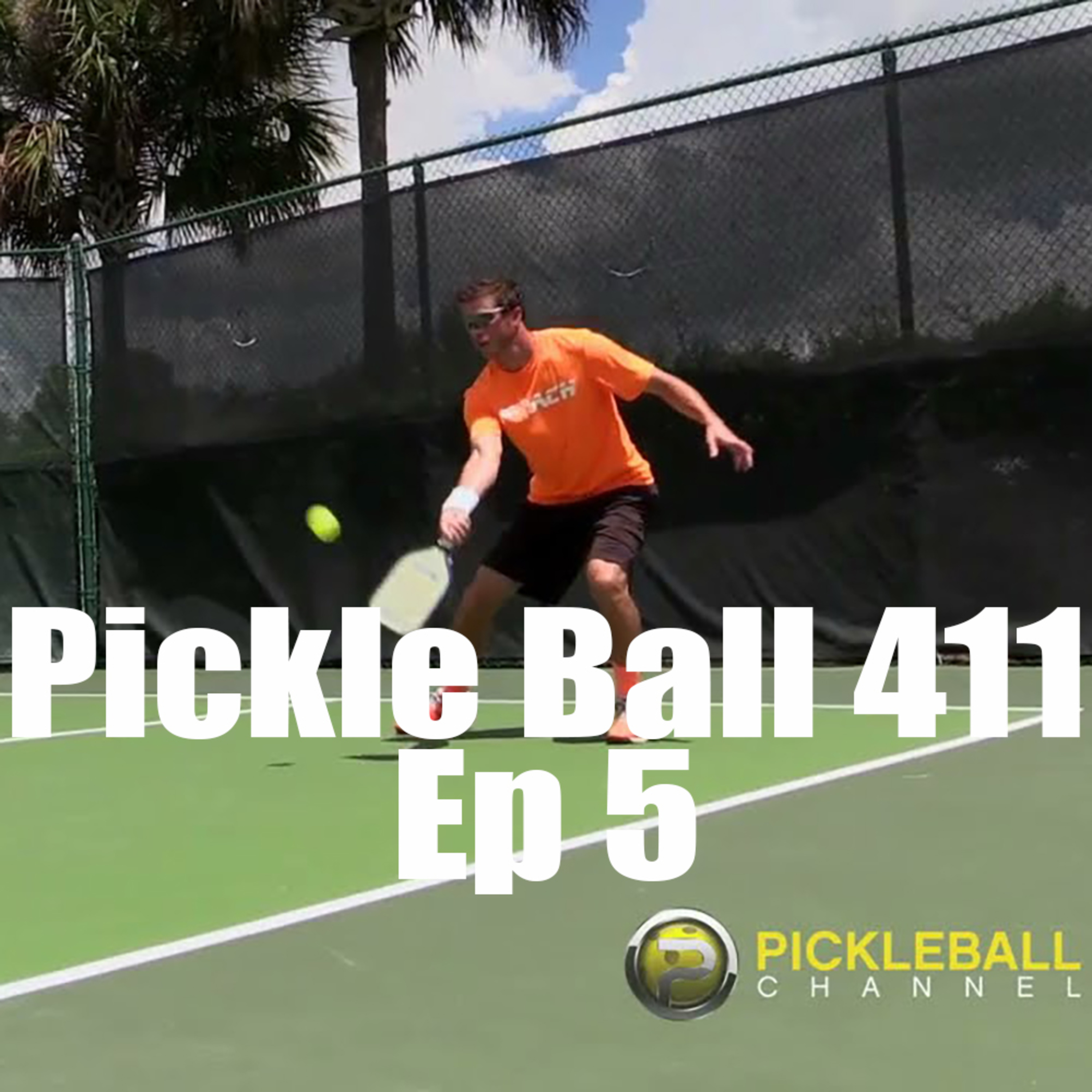 Pickle Ball 411