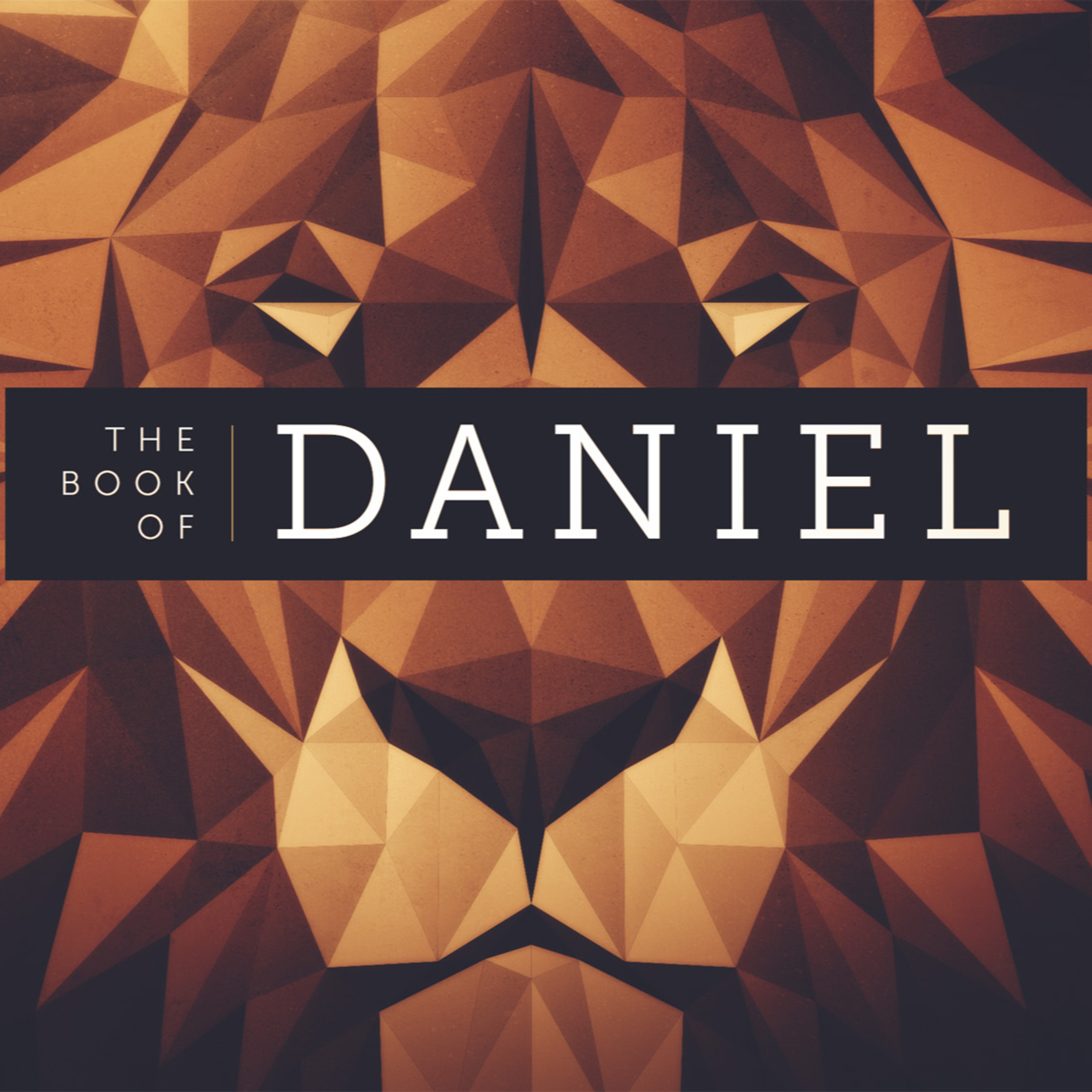 Daniel | Chapter 2 episode artwork