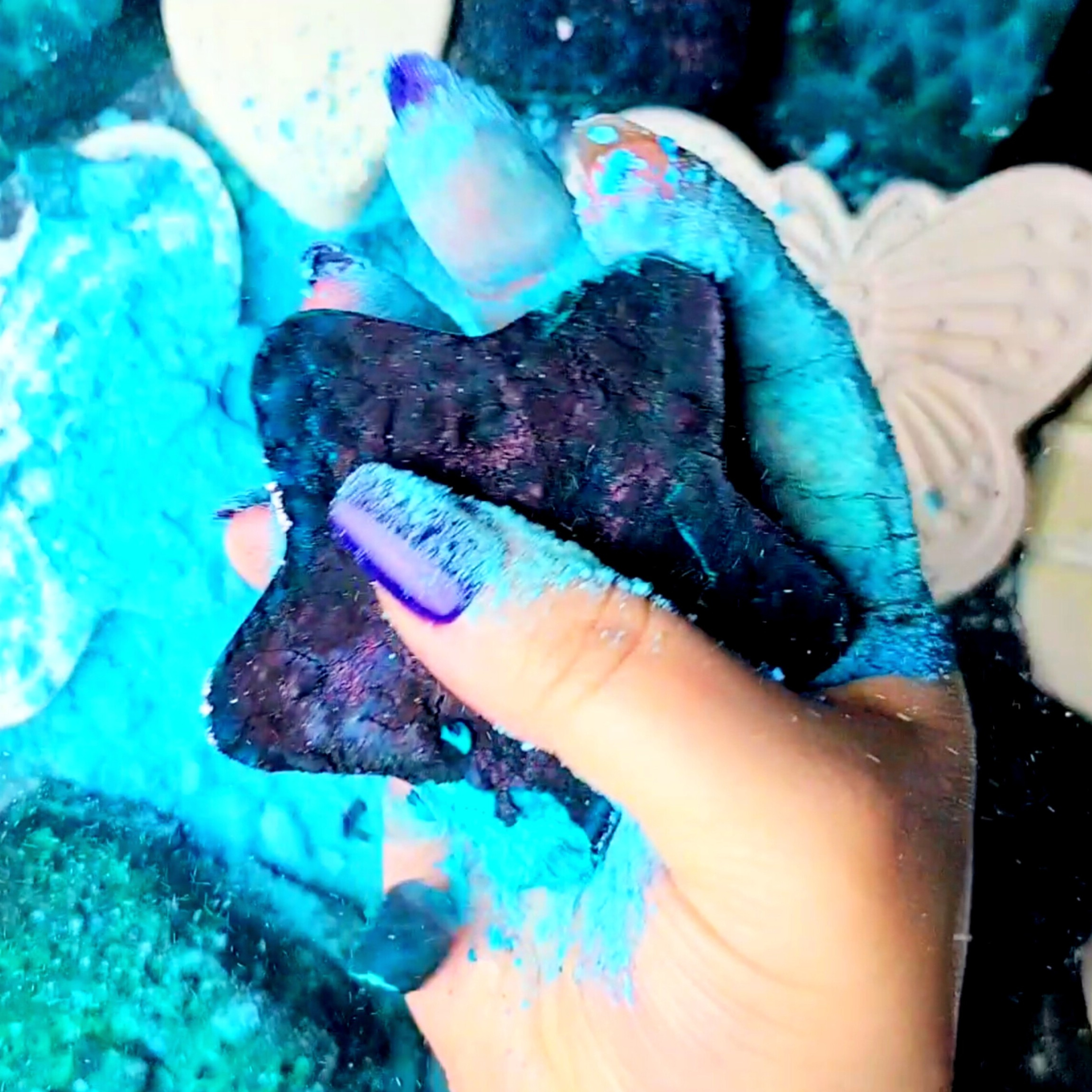 Turquoise & White Collab w/ Luna Loveasmr! Comeback Collab Series 1/5! #asmr #gymchalk #satisfying