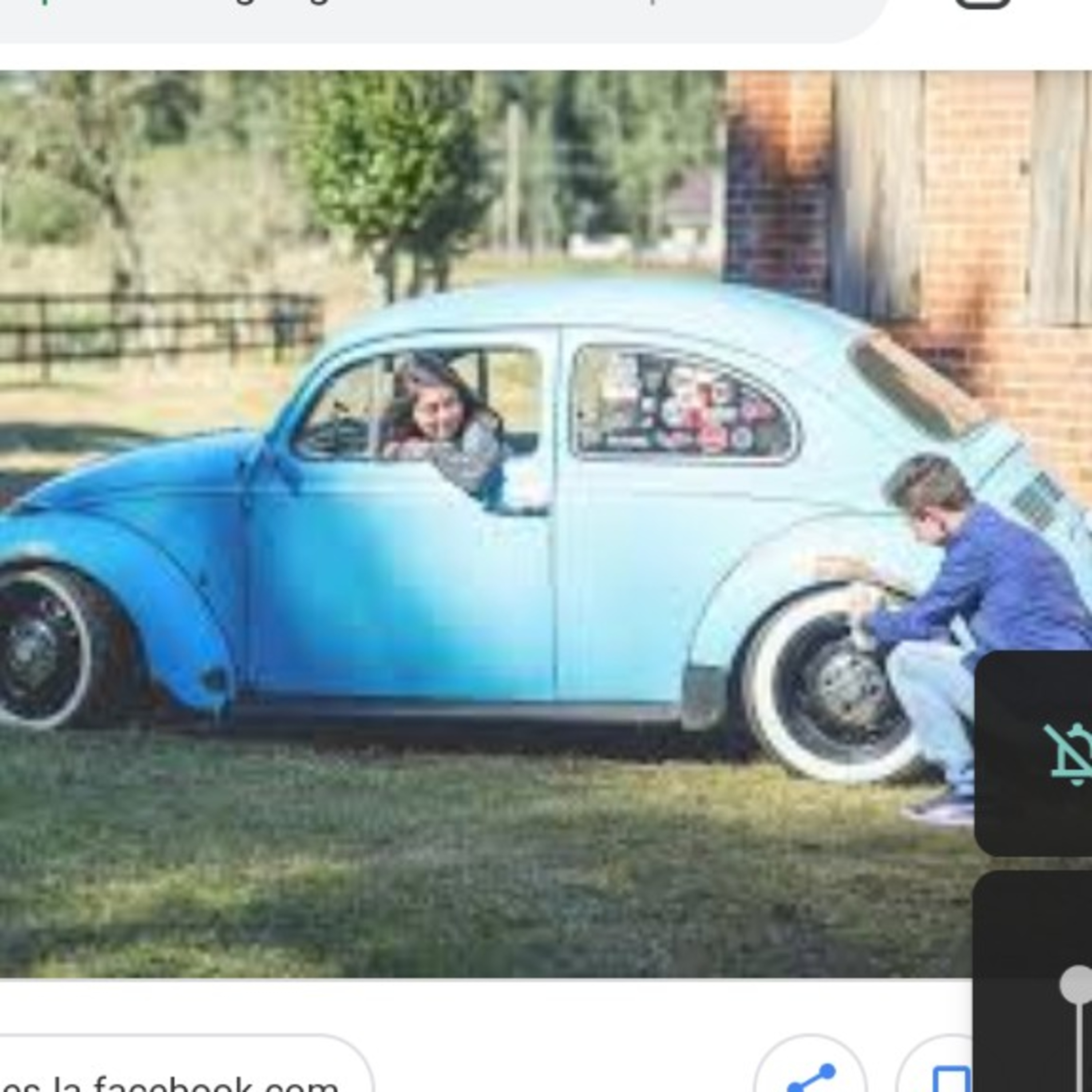Neto de Quem?