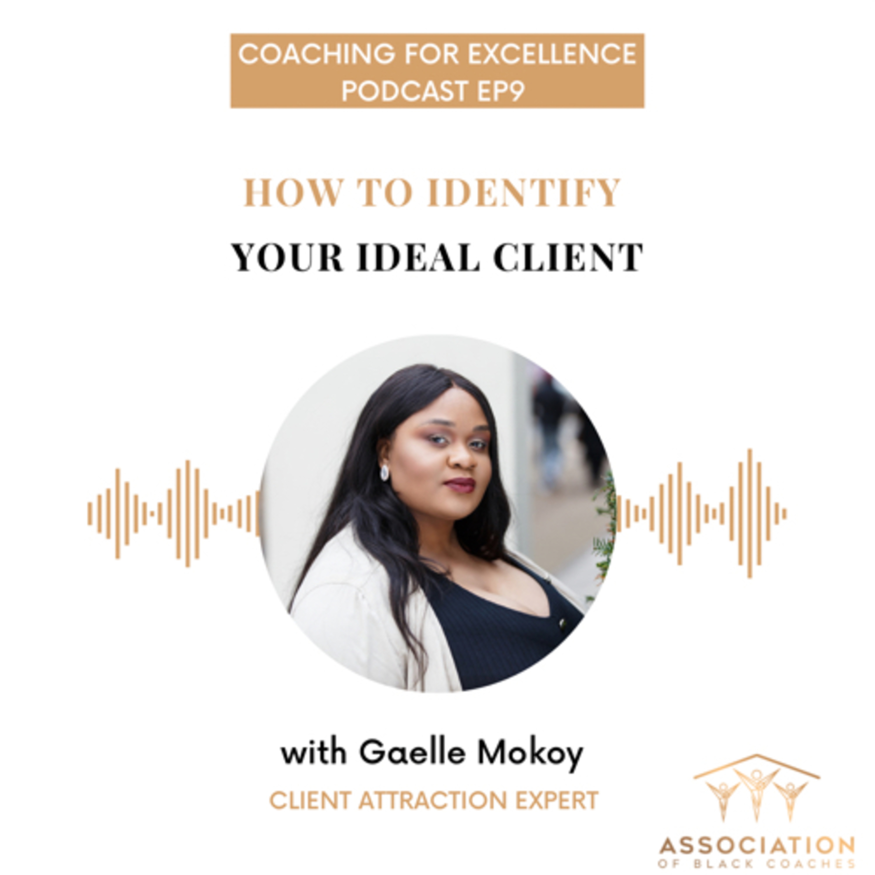 How to identify your ideal client  episode artwork