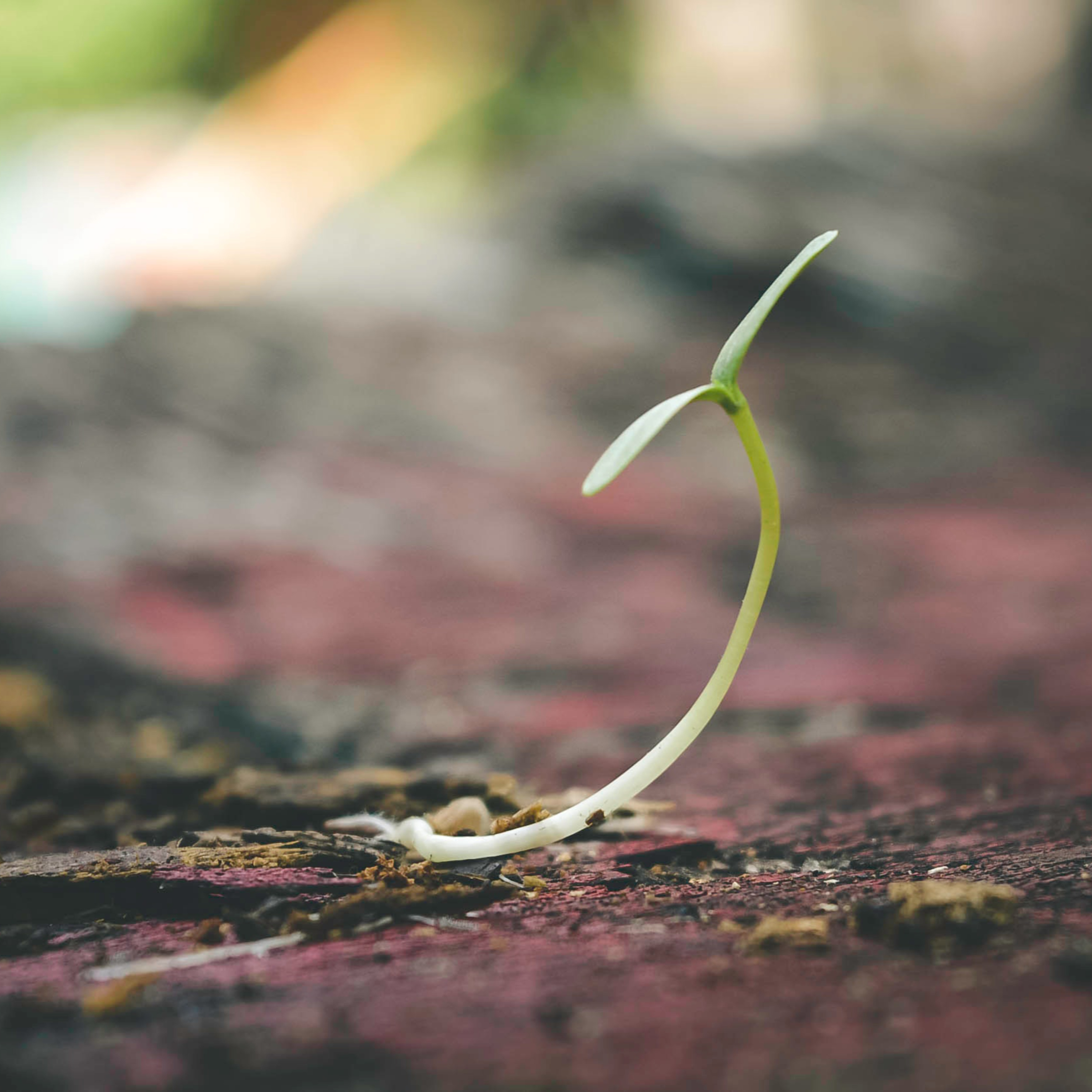 Articles by Supply of Grace