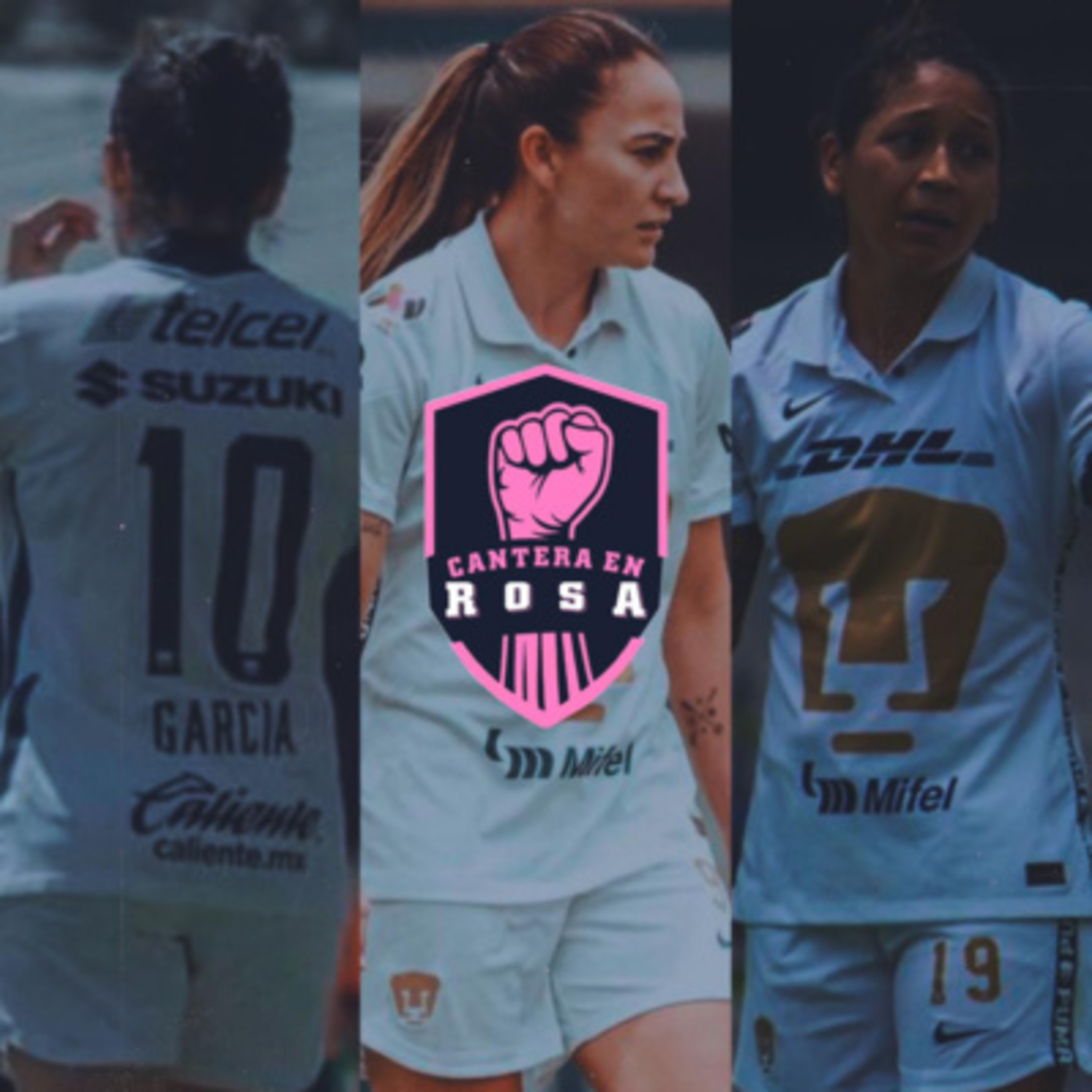 Cantera en Rosa