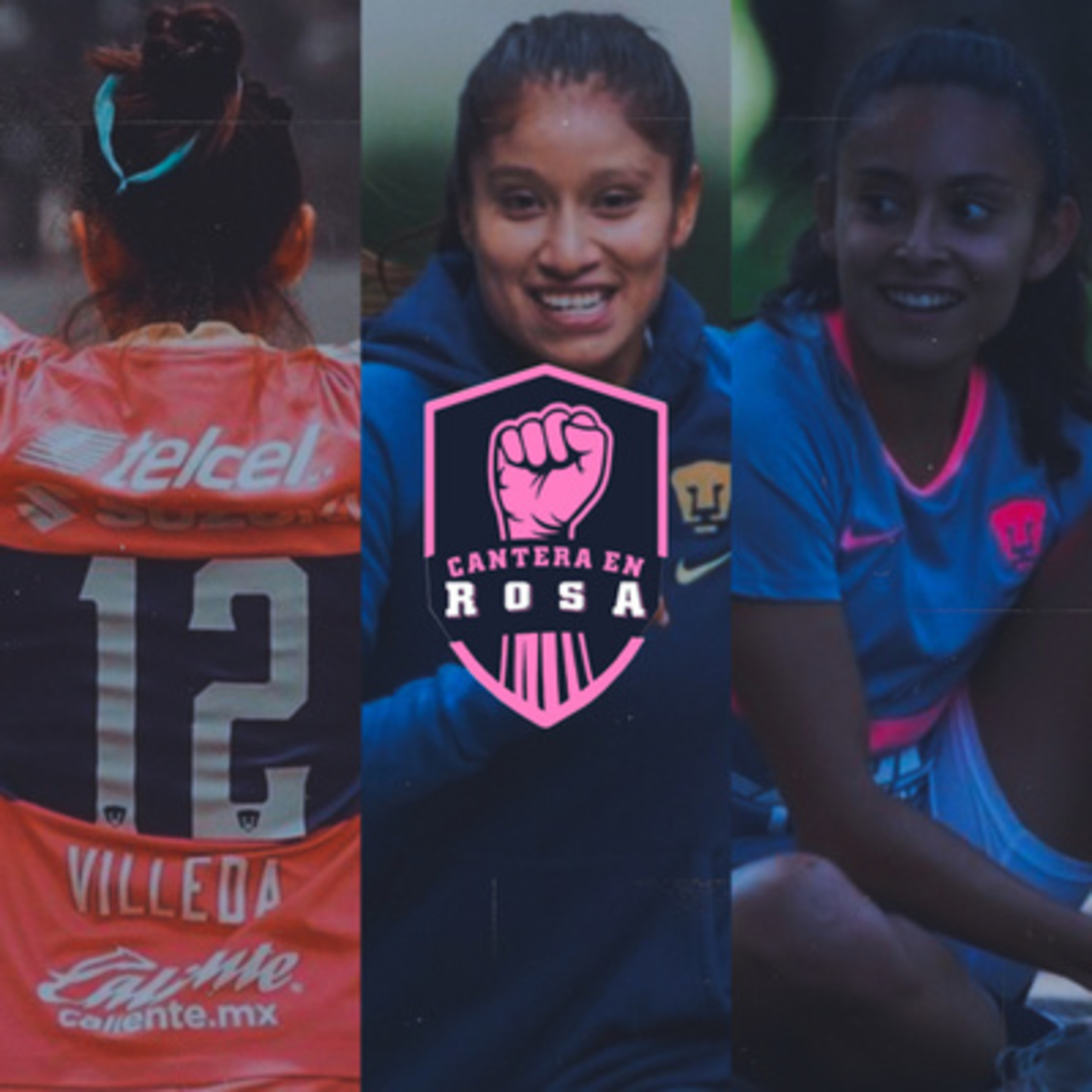 Cantera en Rosa
