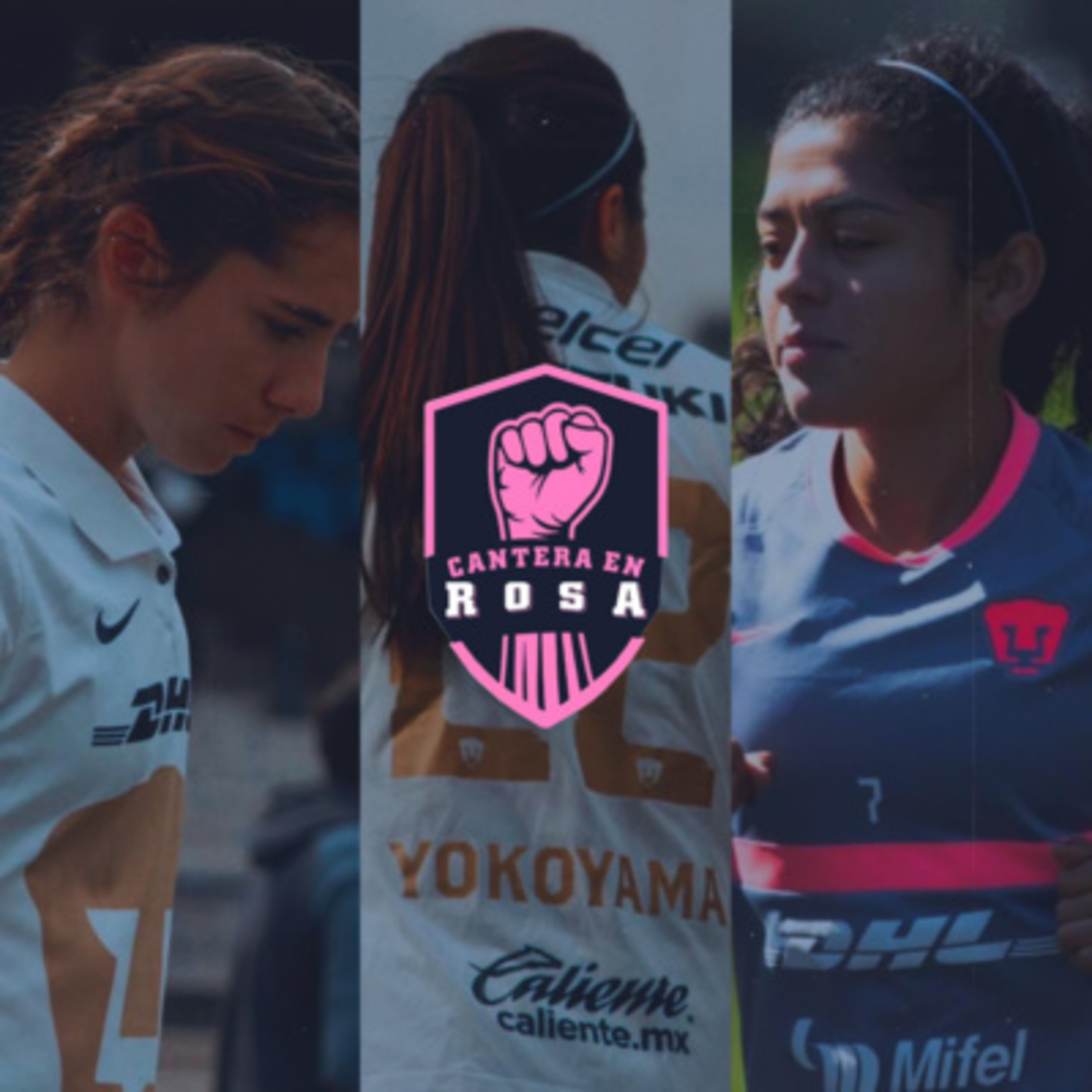 Cantera en Rosa