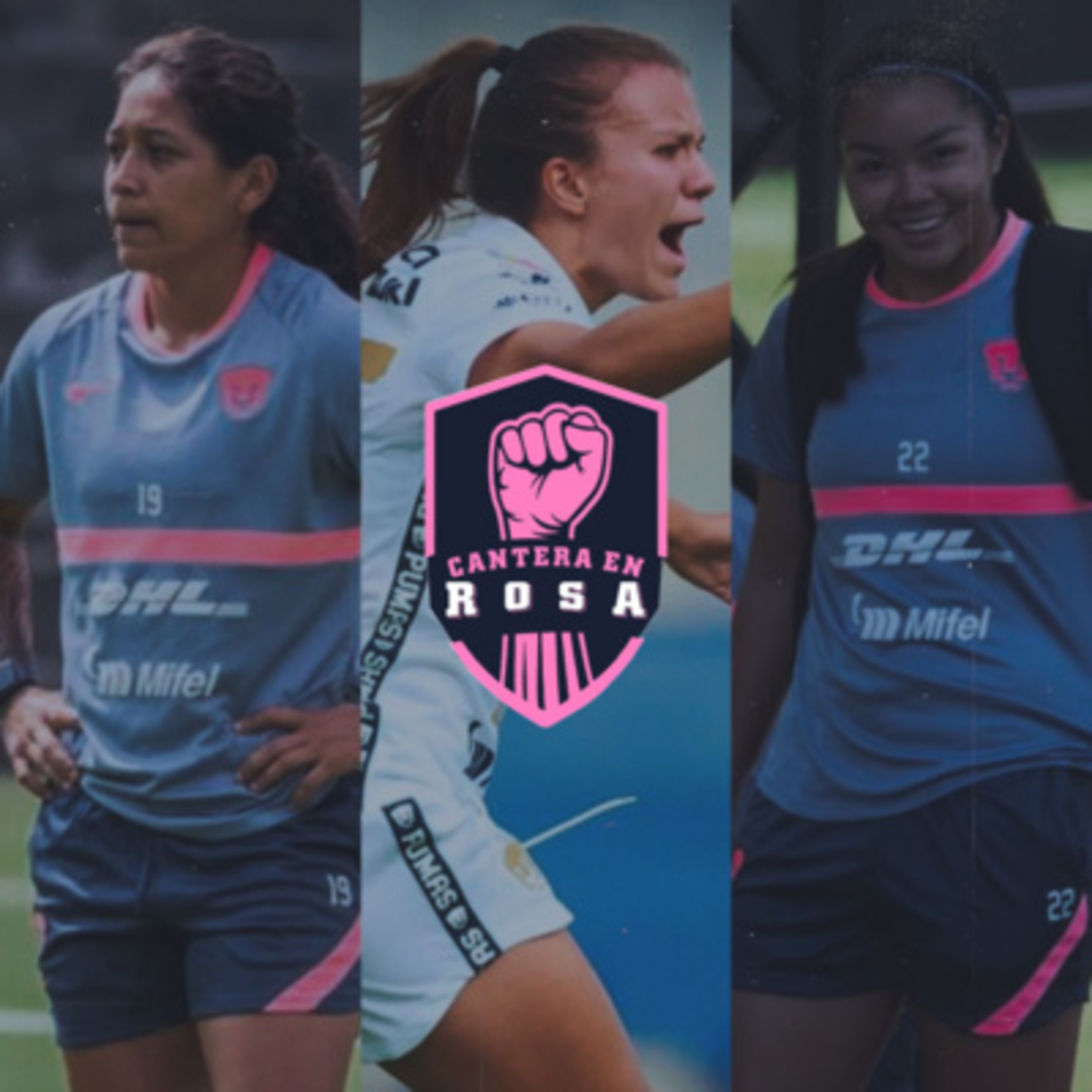 Cantera en Rosa
