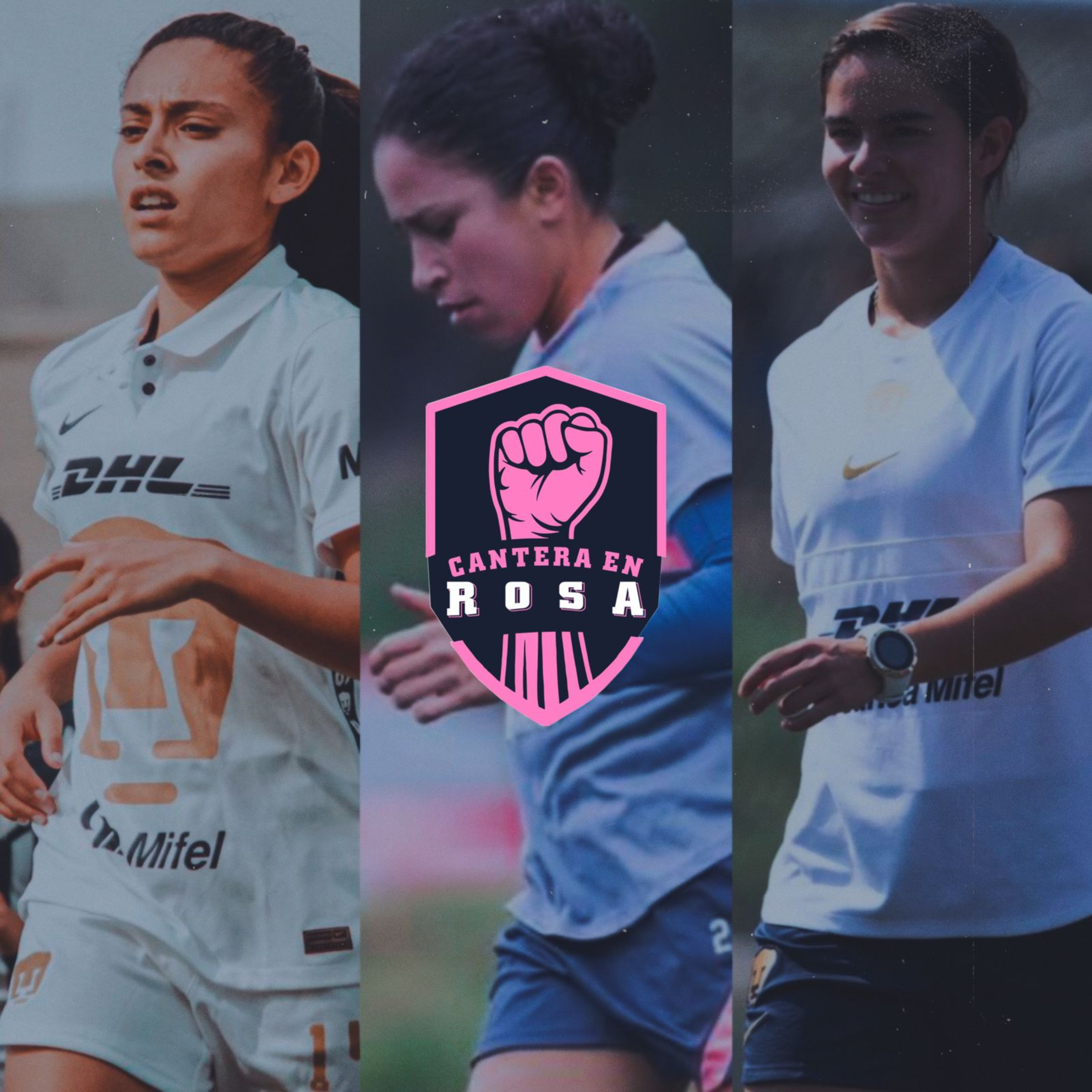 Cantera en Rosa