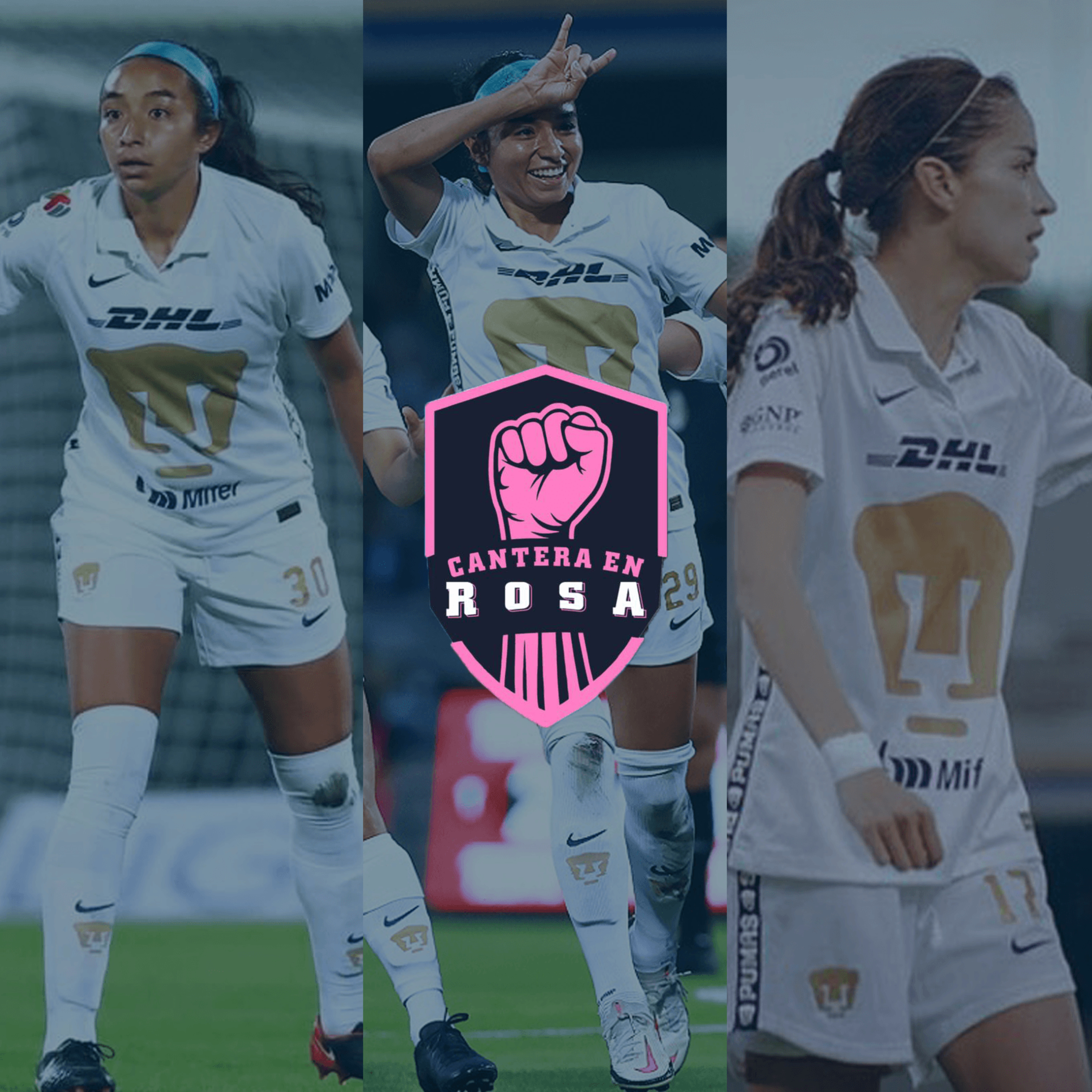 Cantera en Rosa
