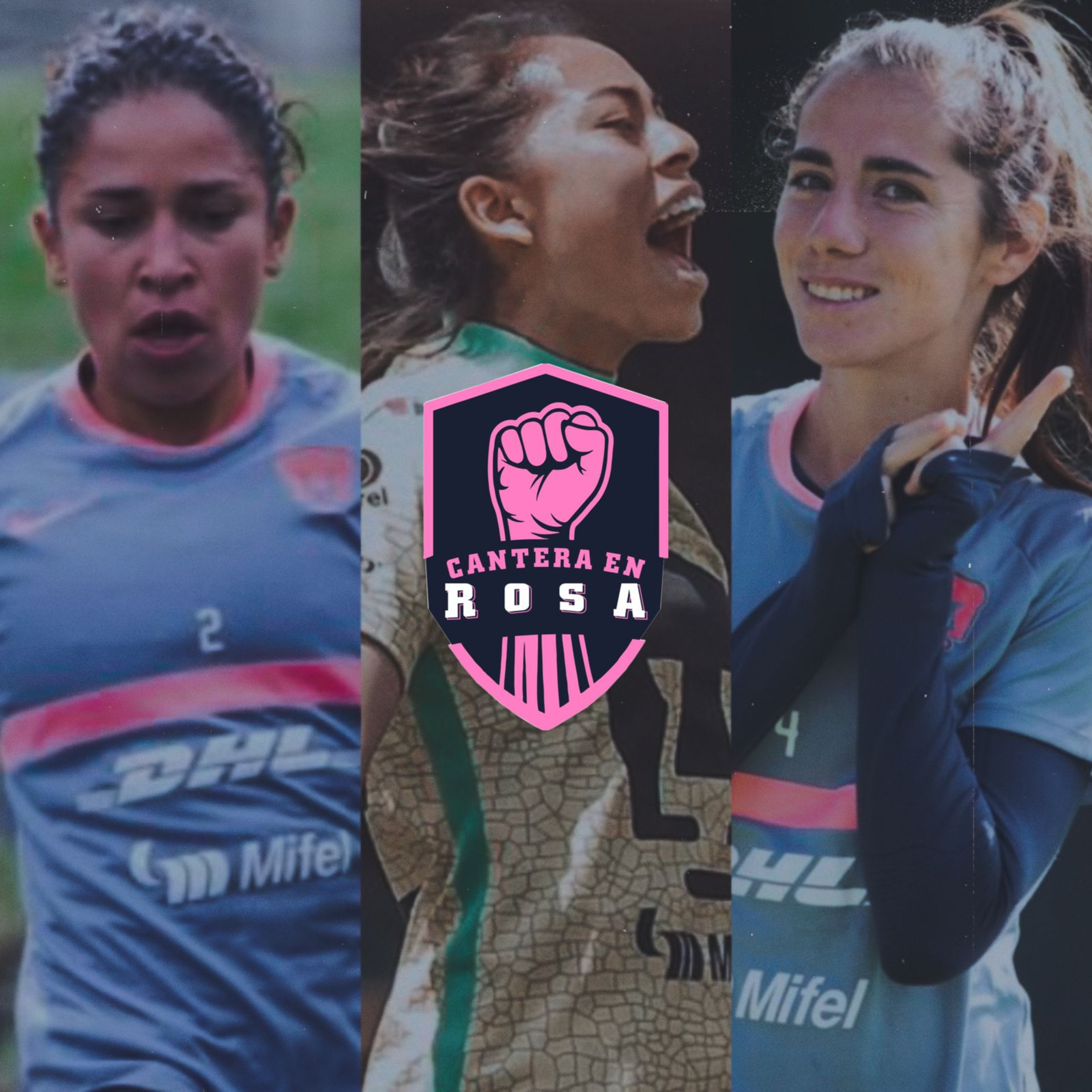 Cantera en Rosa